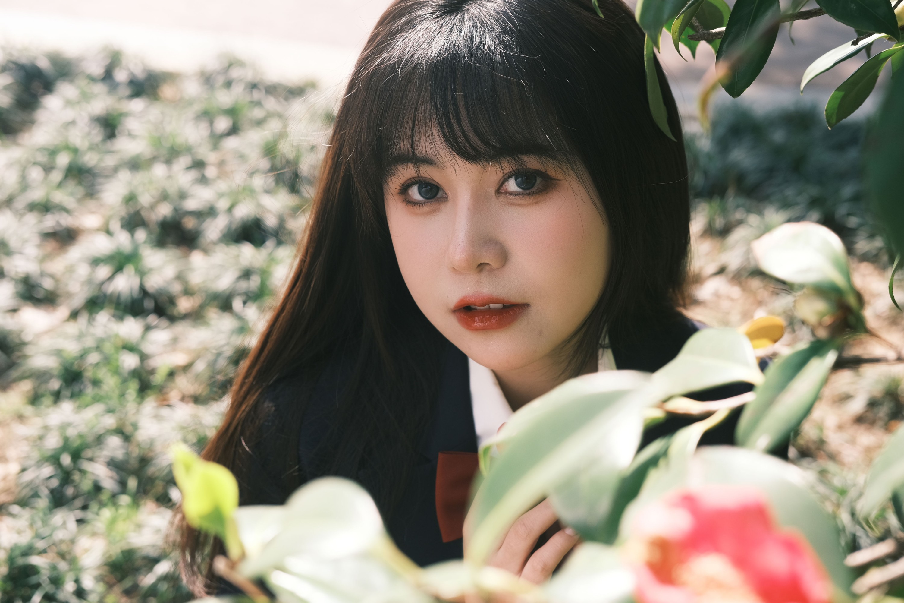 鹤鸣之应- – 《camelia》[31P] 插图5