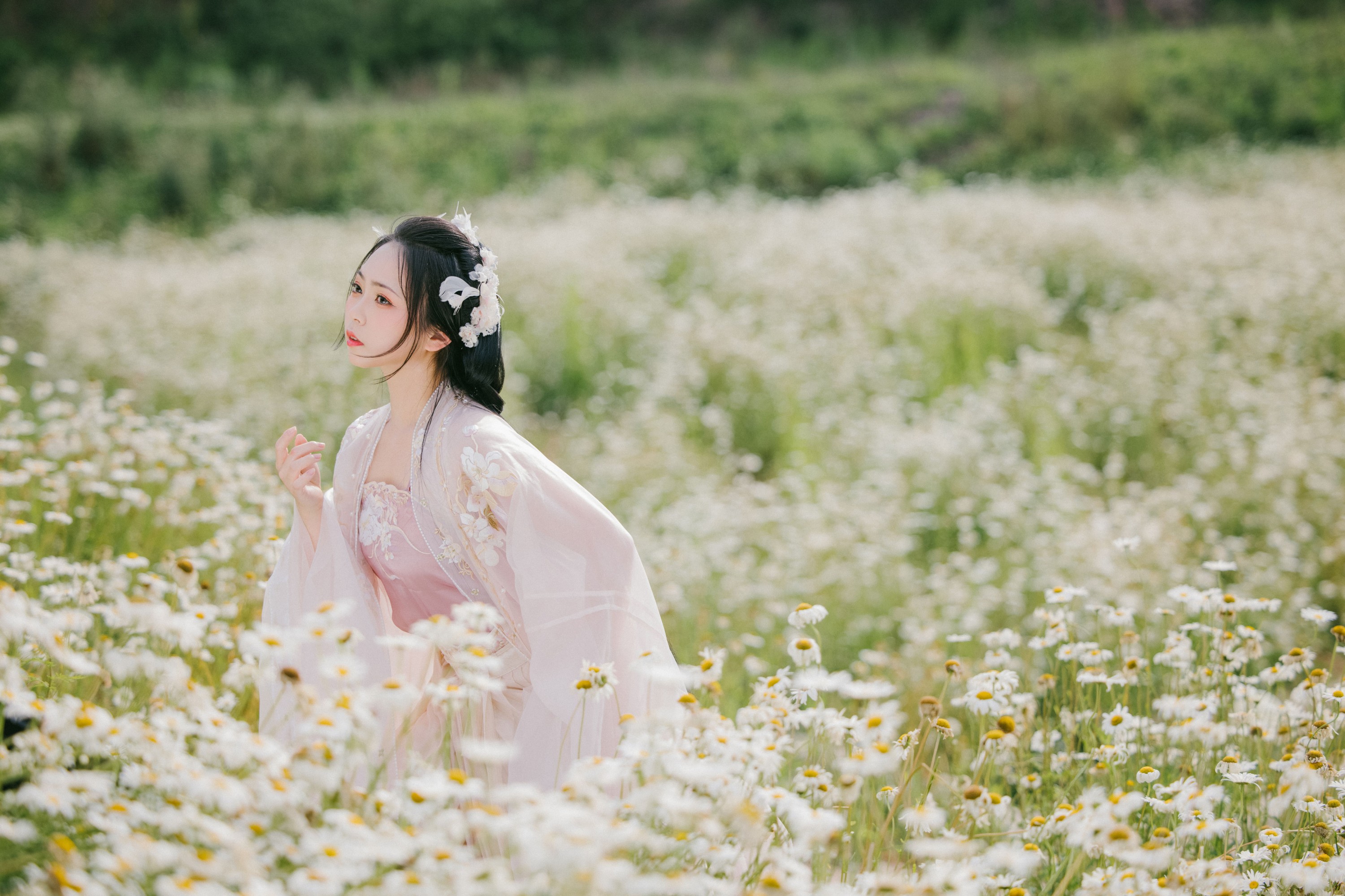 阡墨红尘 – 《雏菊花海》[23P] 插图5