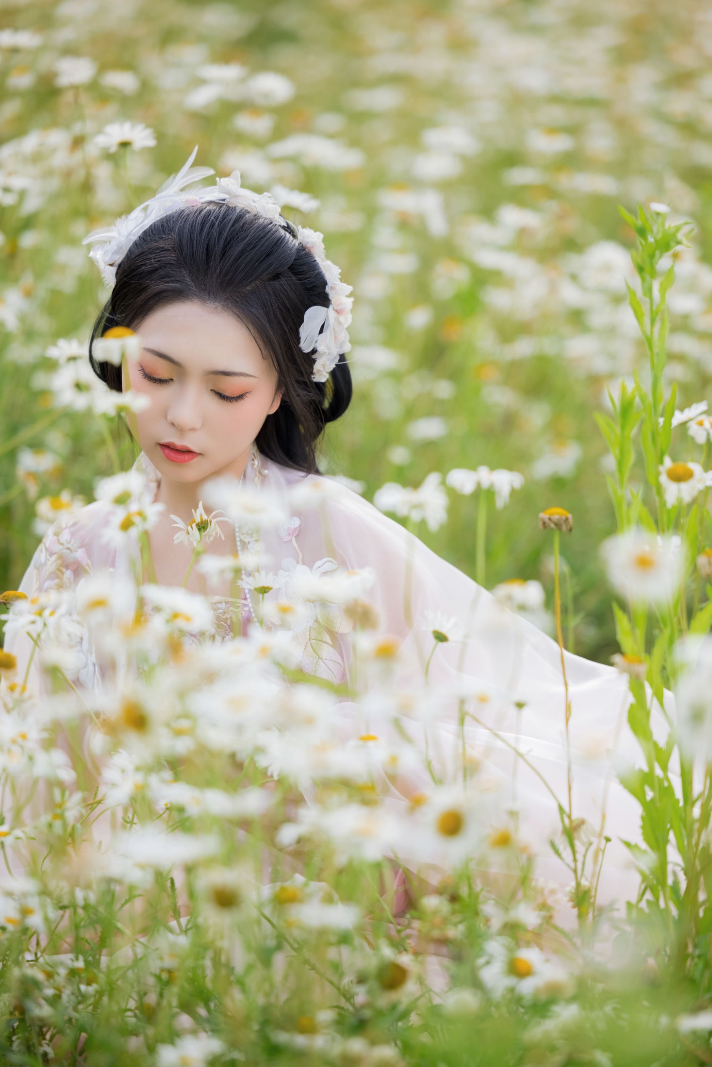 阡墨红尘 – 《雏菊花海》[23P] 插图4
