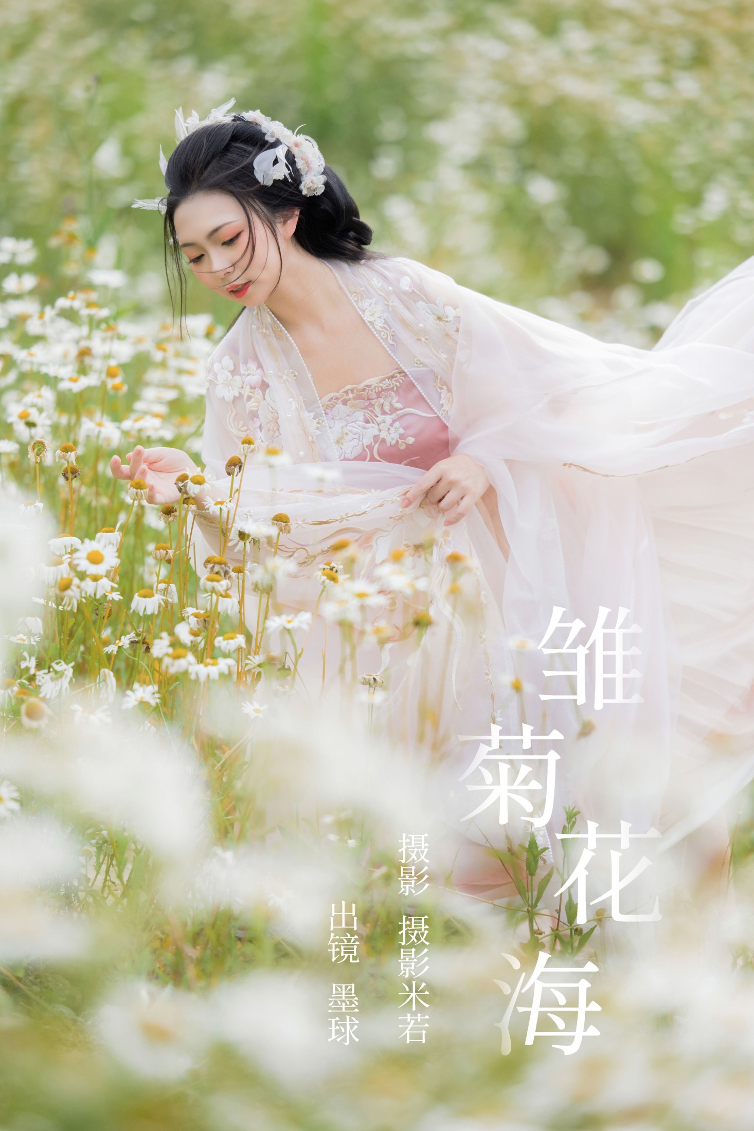 ID5495雏菊花海 - 妍画集-妍画集