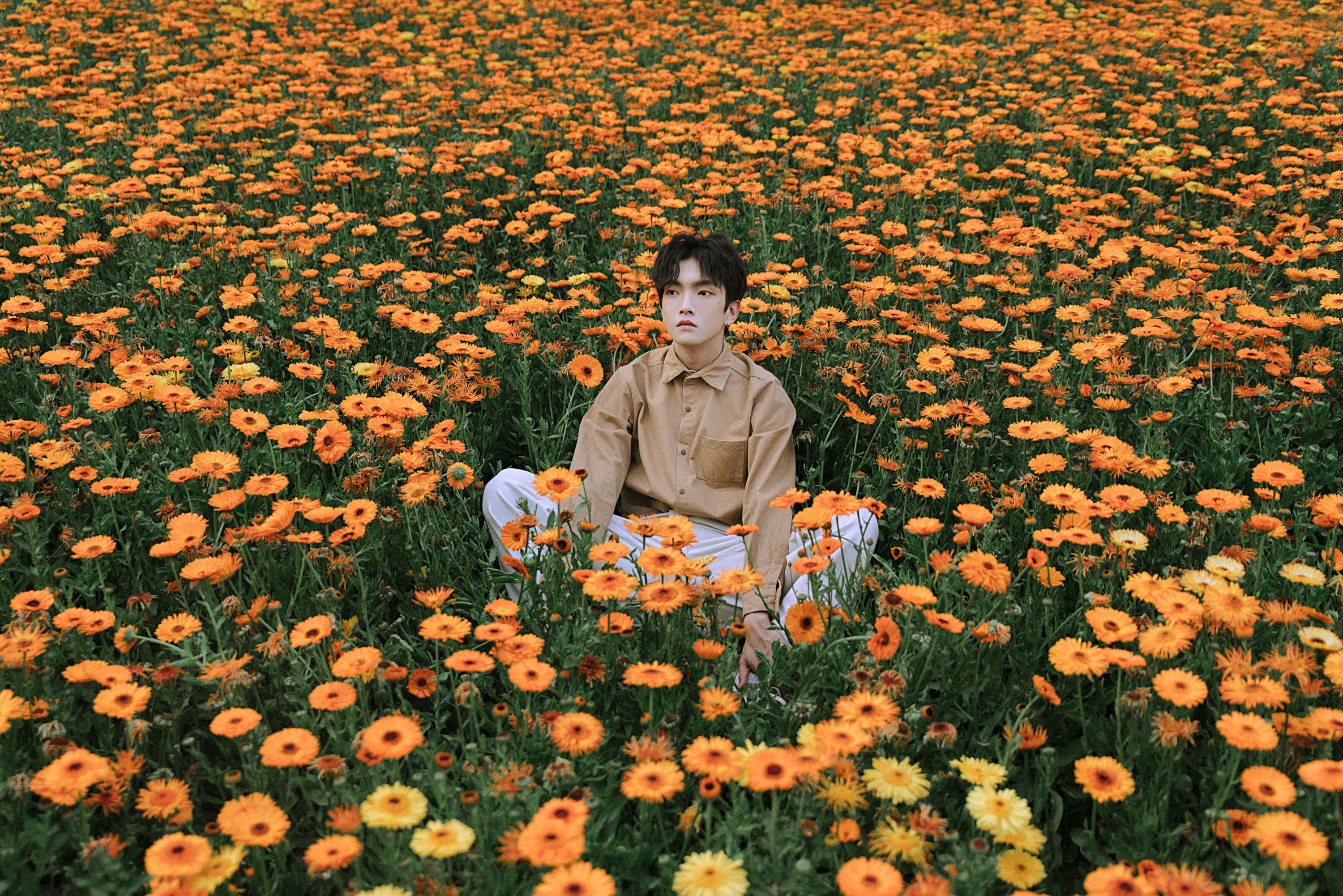 阿学 – 《花海少年》[21P] 插图3