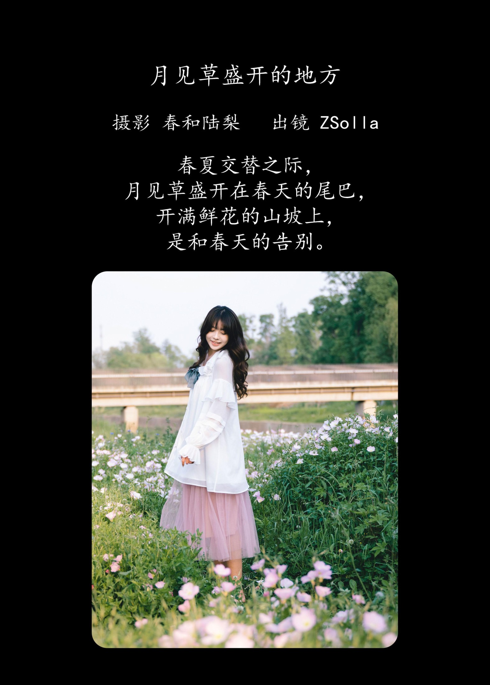 Z_Solla – 《月见草盛开的地方》[20P] 插图2