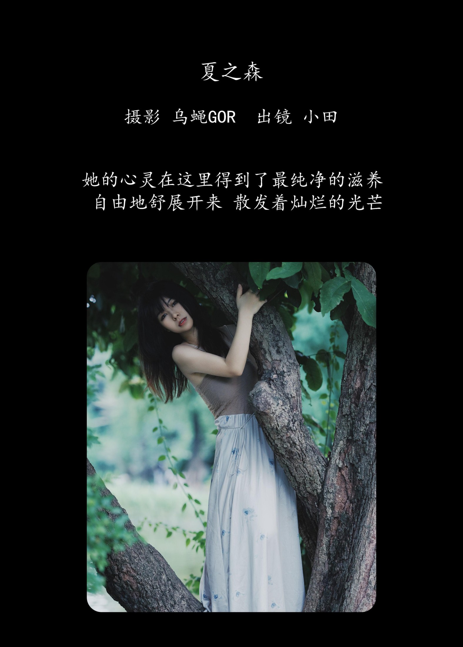 小田 – 《夏之森》[42P] 插图2