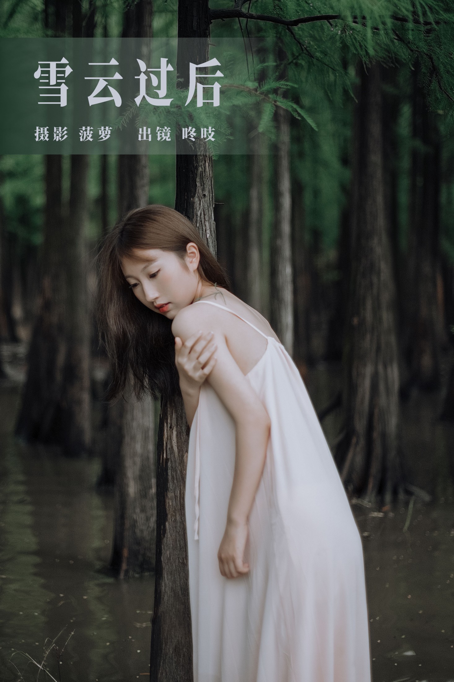ID6140雪云过后 - 妍画集-妍画集