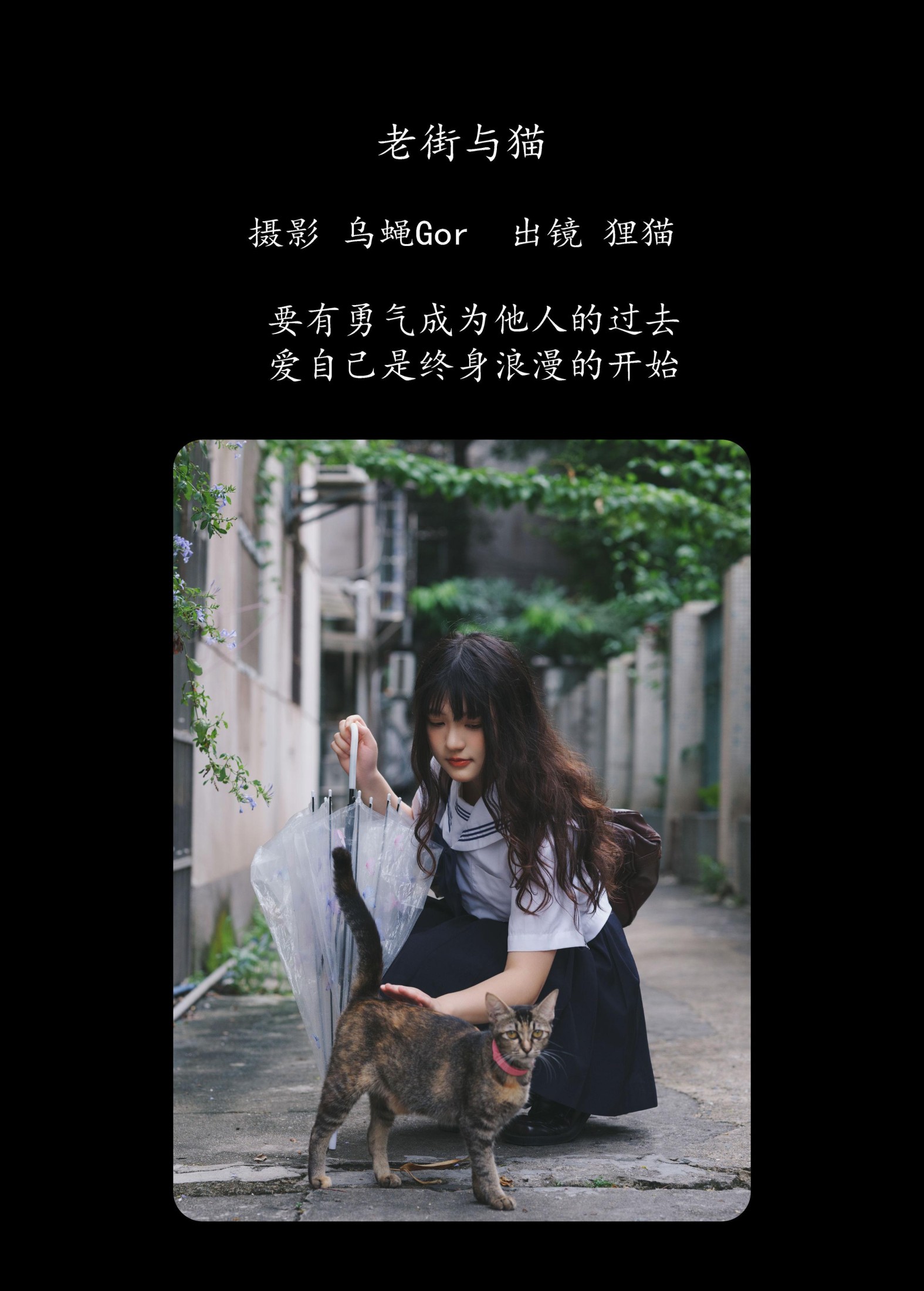 我变成猪了你负责吗 – 《老街与猫》[39P] 插图2