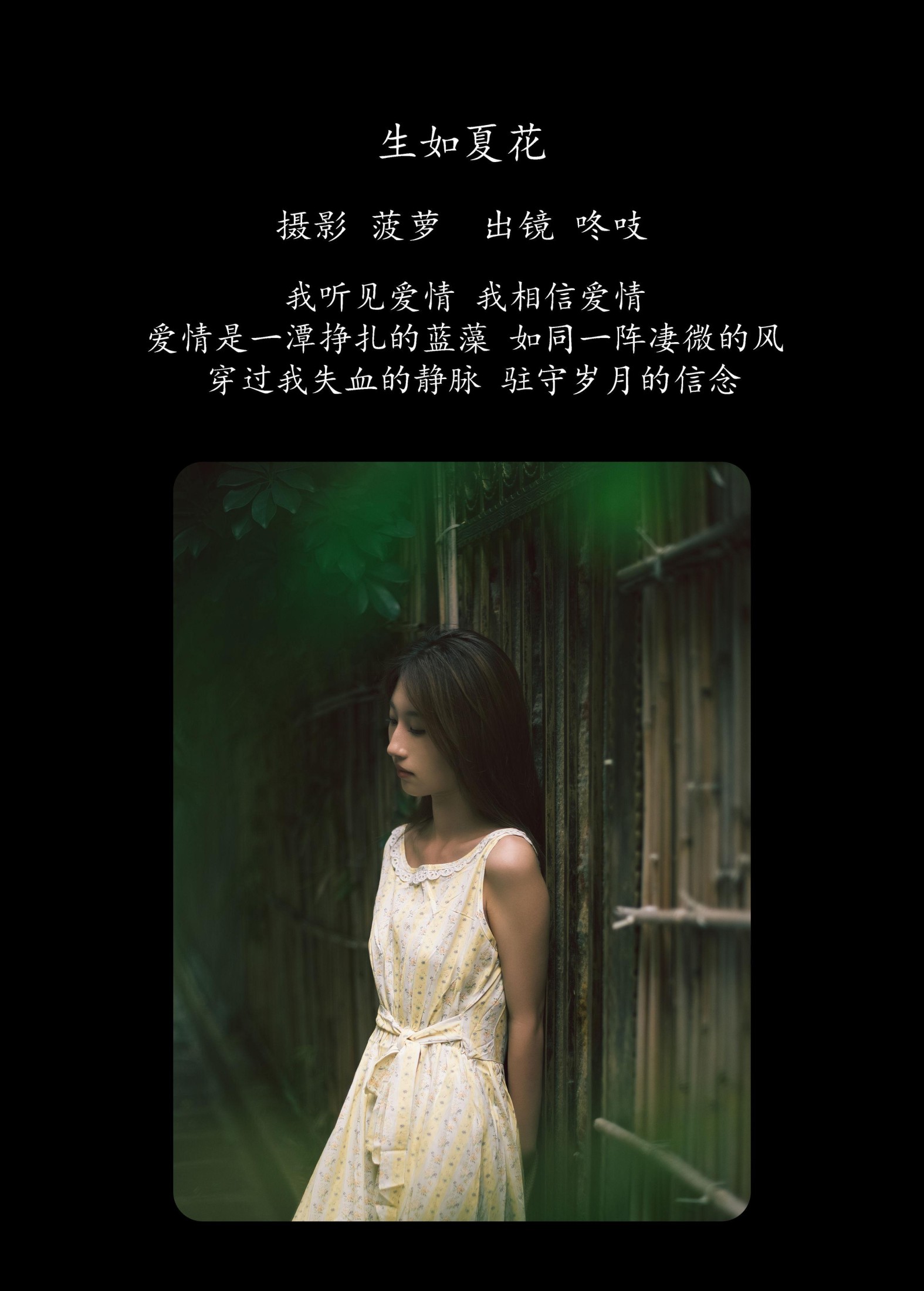 咚吱 – 《生如夏花》[21P] 插图2