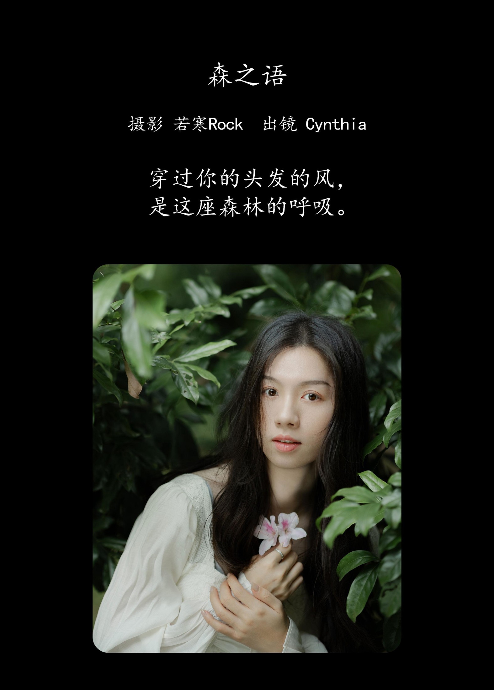 Cynthia – 《森之语》[24P] 插图2