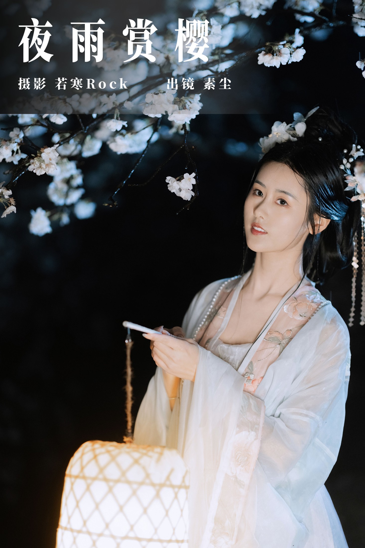 ID6517夜雨赏樱 - 妍画集-妍画集