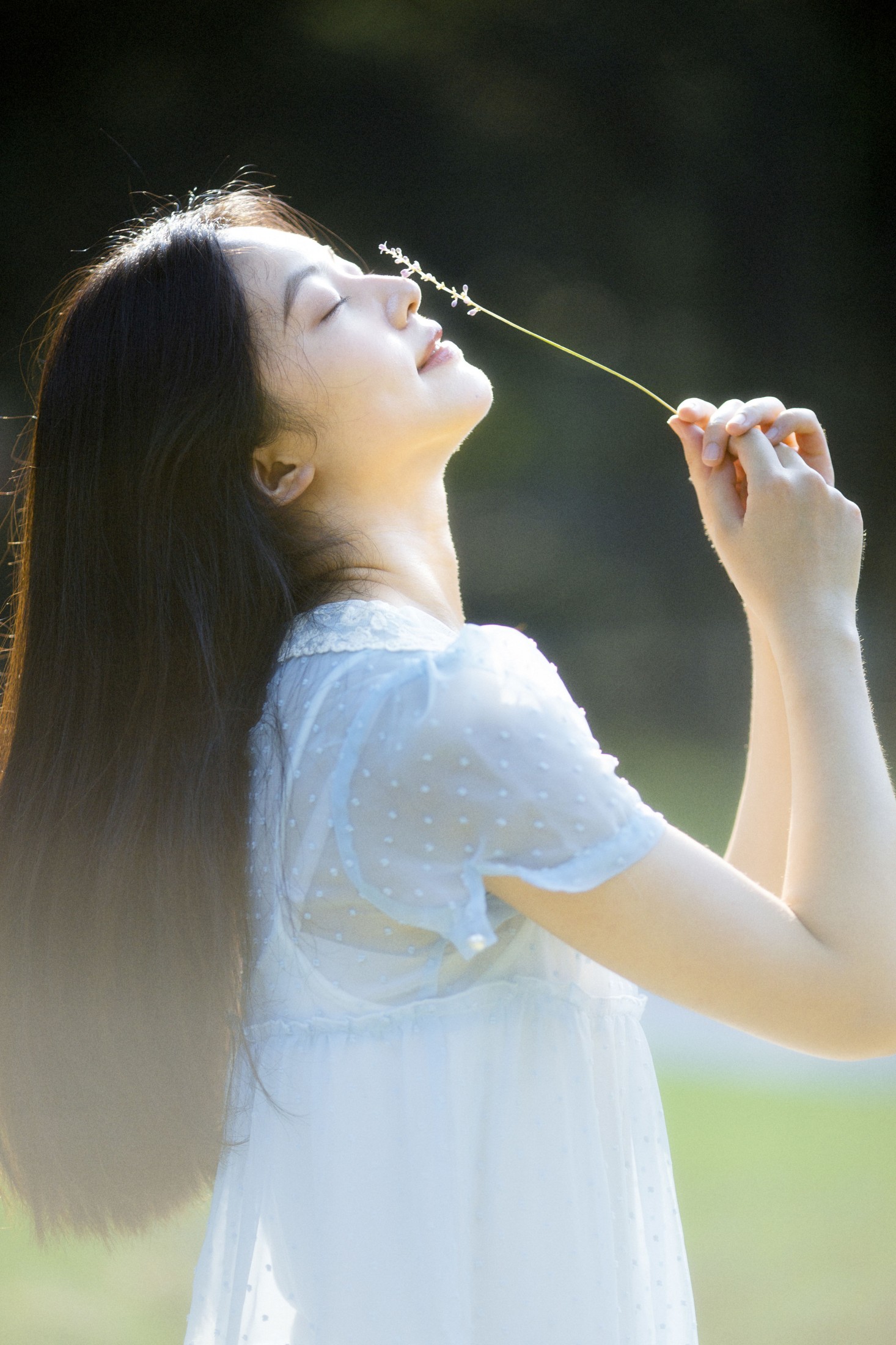 S-led – 《发光的下午》[21P] 插图4