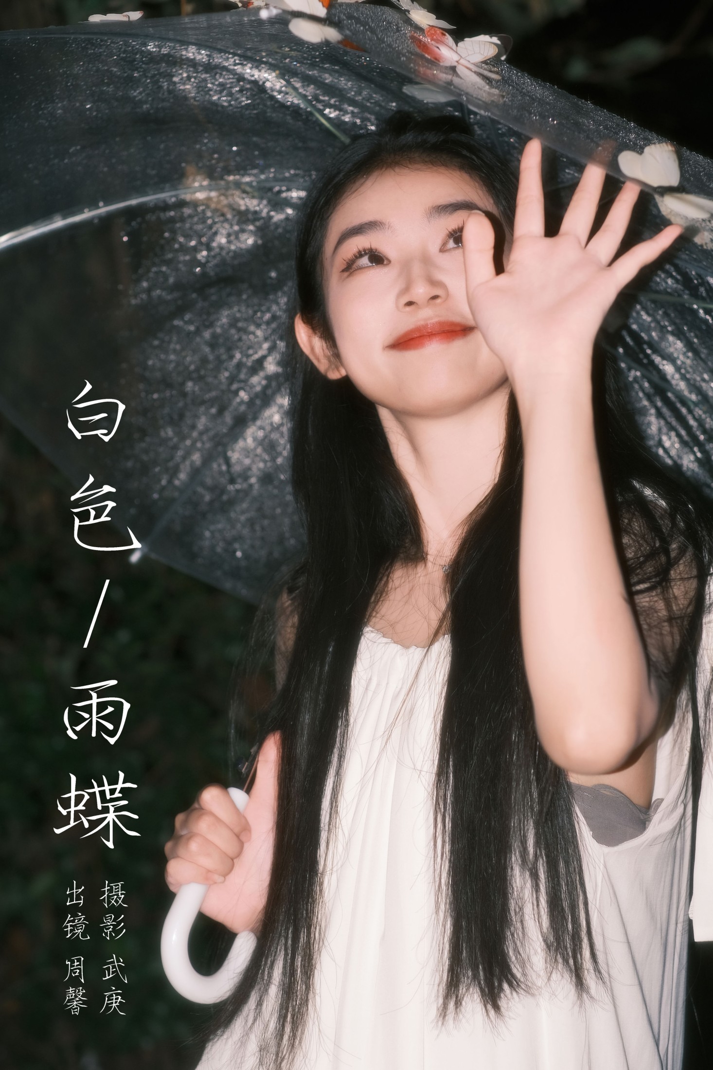 ID6704白色雨蝶 - 妍画集-妍画集