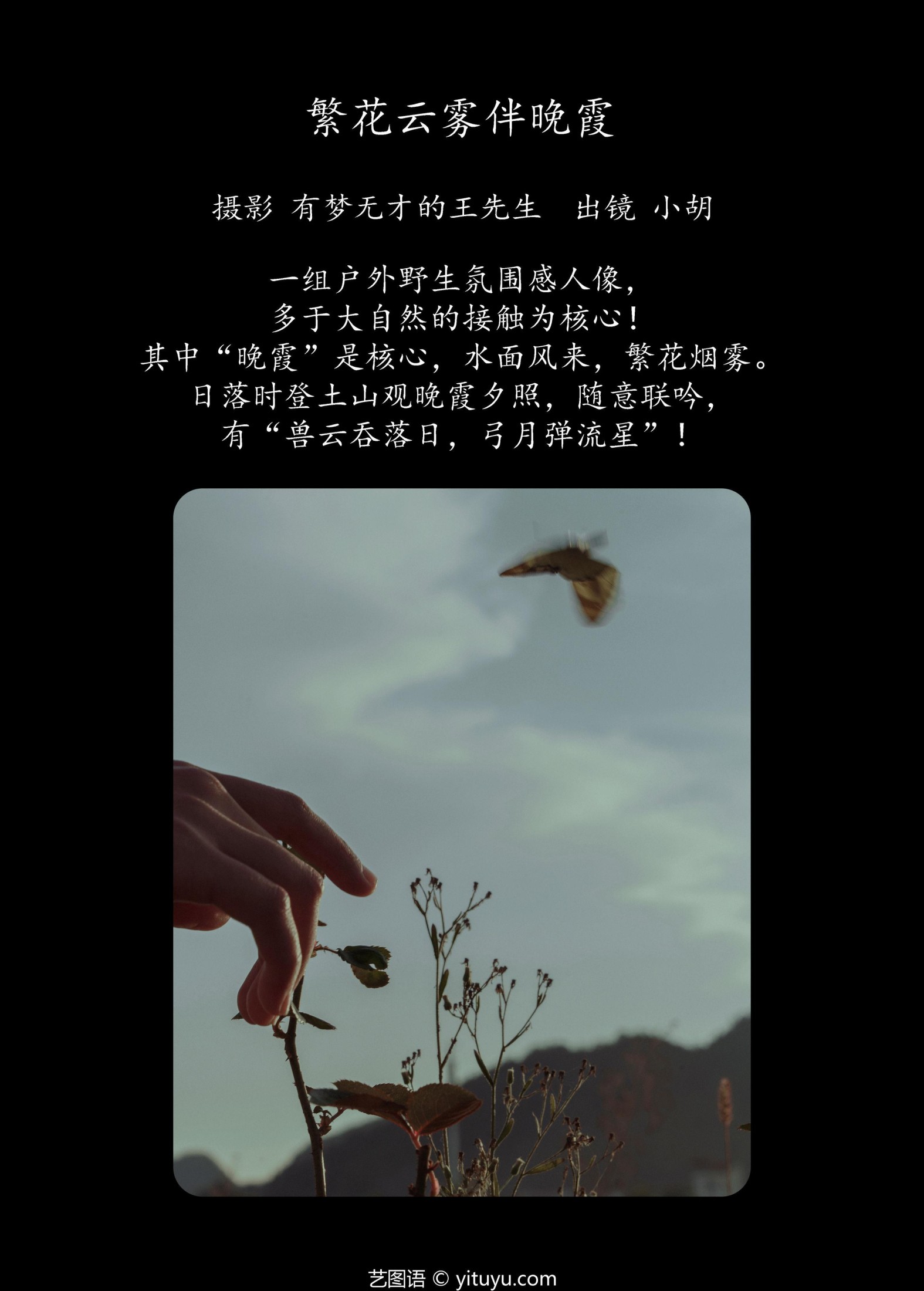 小胡 – 《繁花云雾伴晚霞》[23P] 插图2