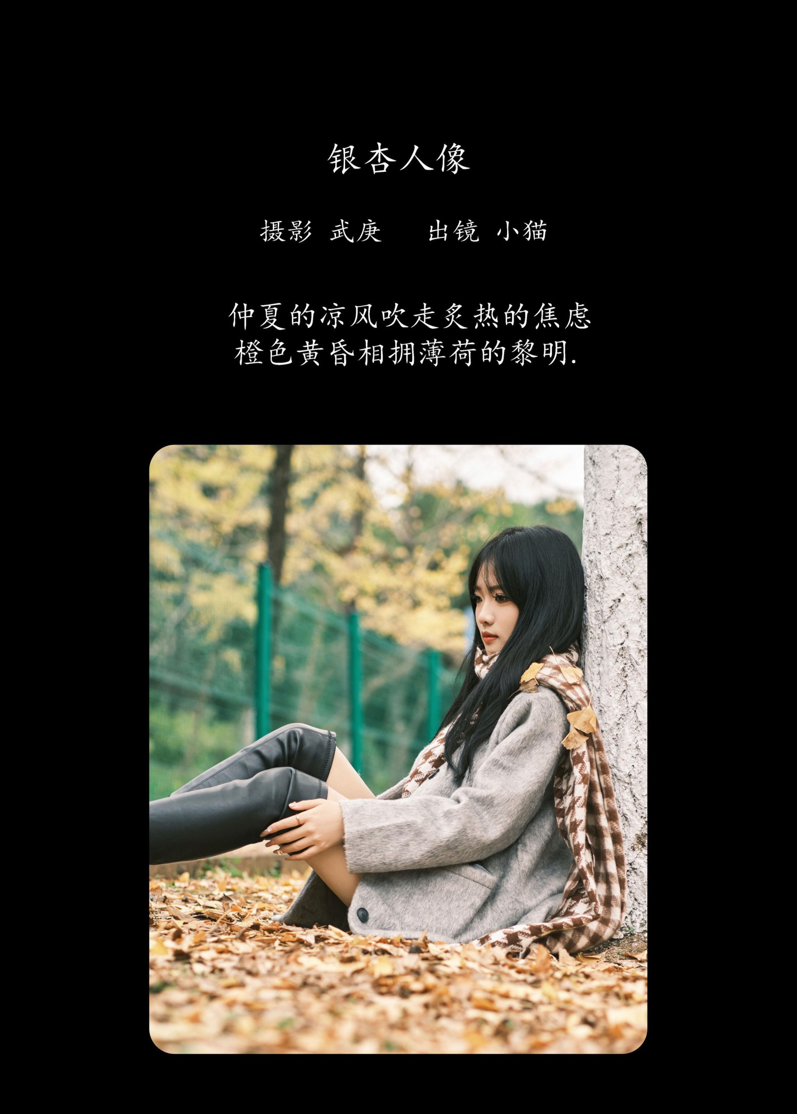 小猫 – 《银杏人像》[25P] 插图2