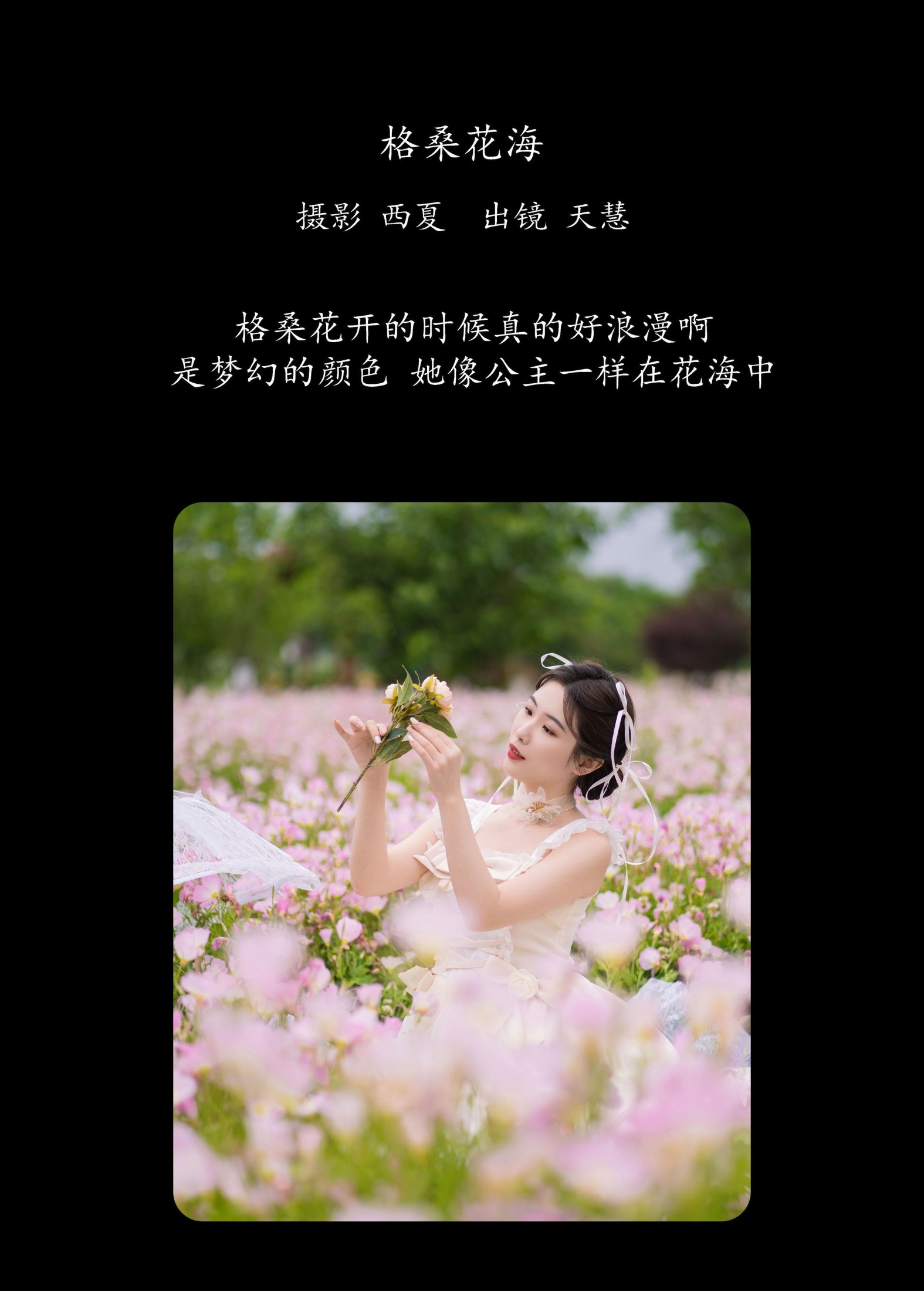 天慧 – 《格桑花海》[25P] 插图2