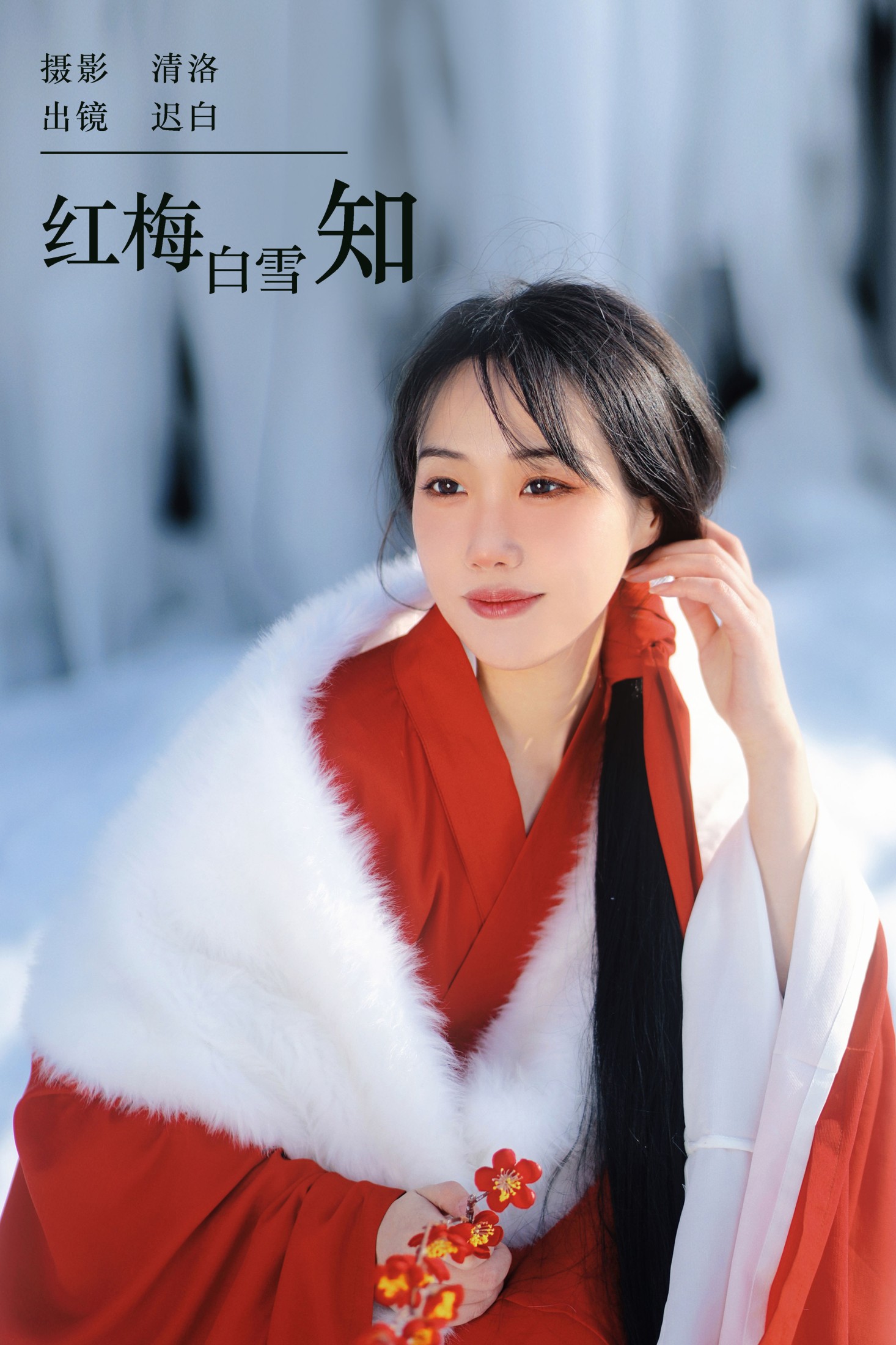 ID7417红梅白雪知 - 妍画集-妍画集