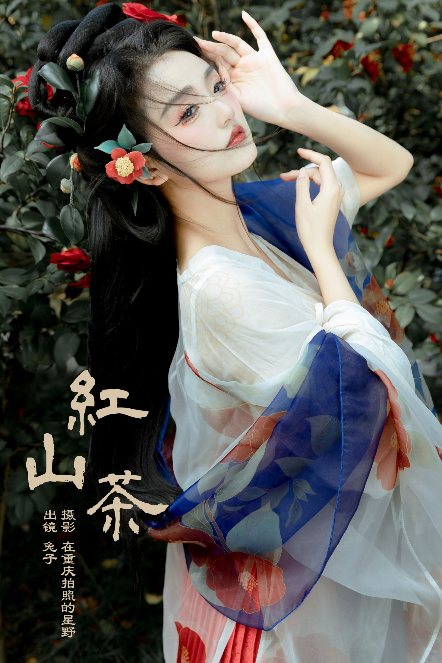 ID7603红山茶 - 妍画集-妍画集