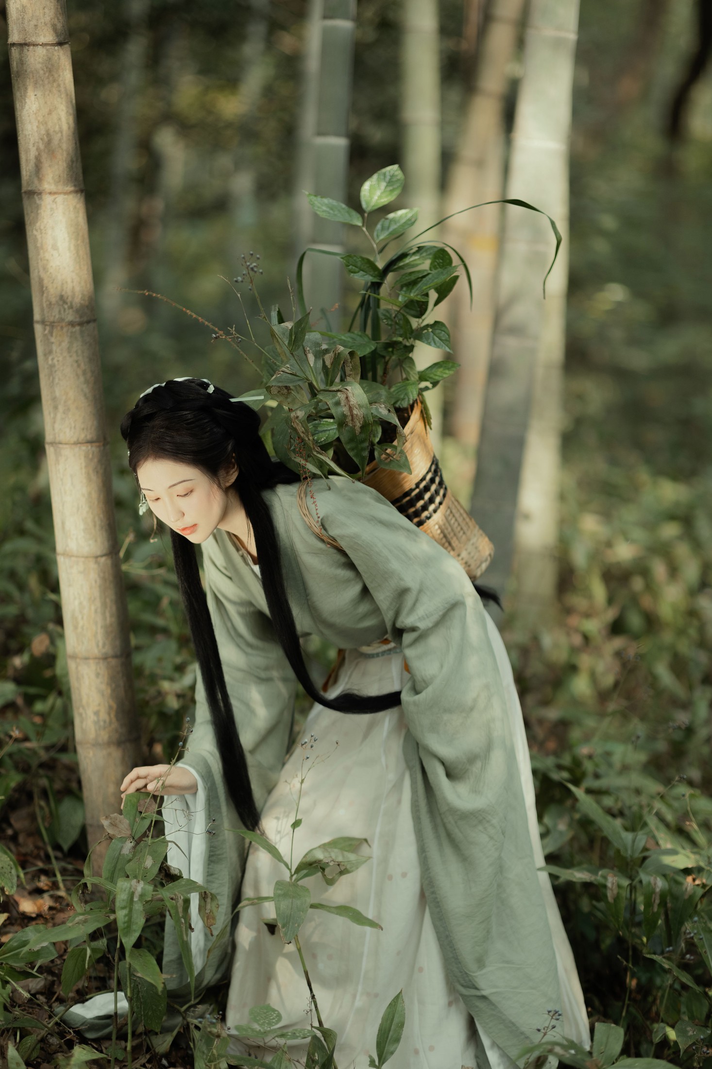 折子语-阿语 – 《采药》[30P] 插图5