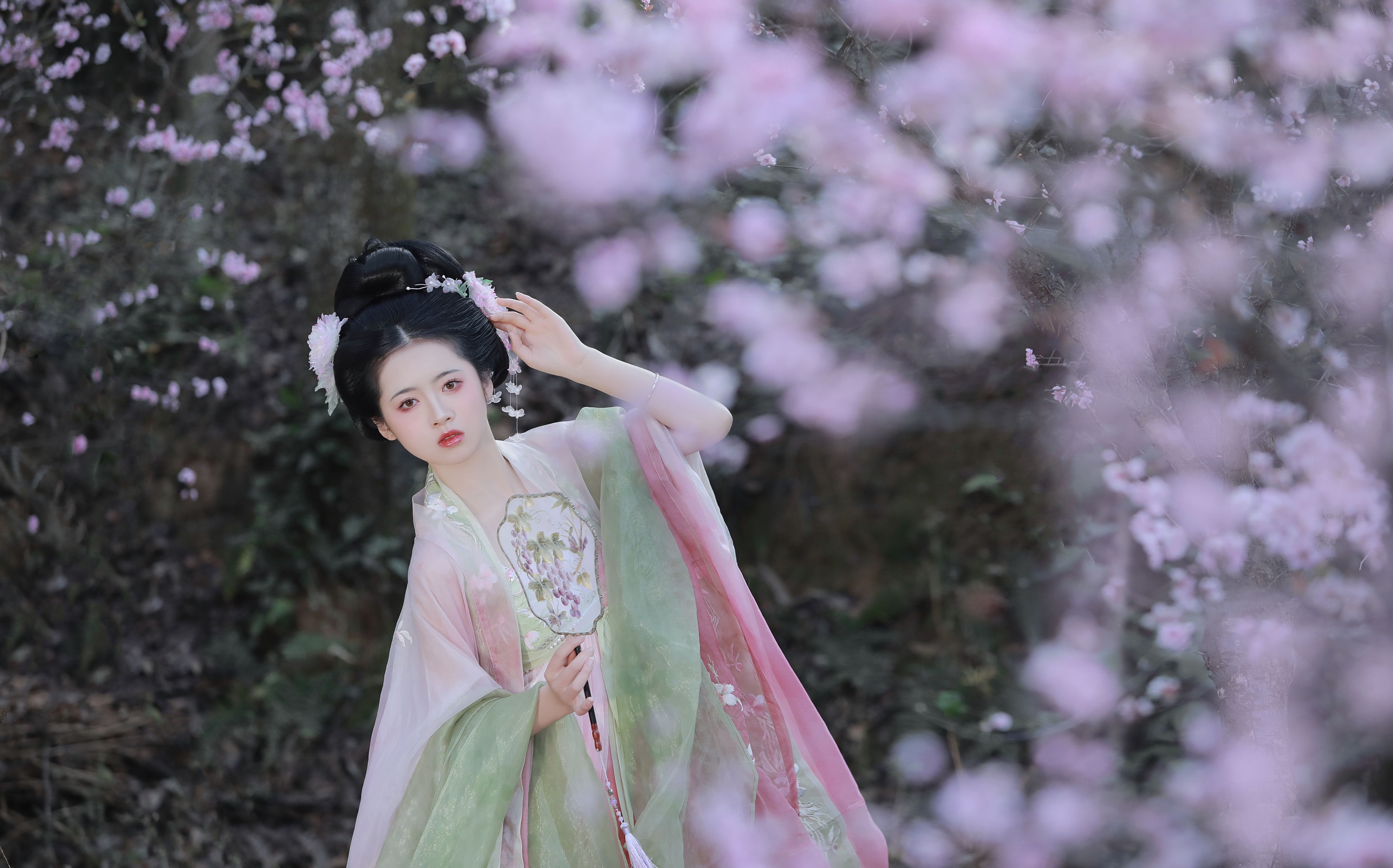一枝眠眠 – 《春有百花秋有月》[25P] 插图3