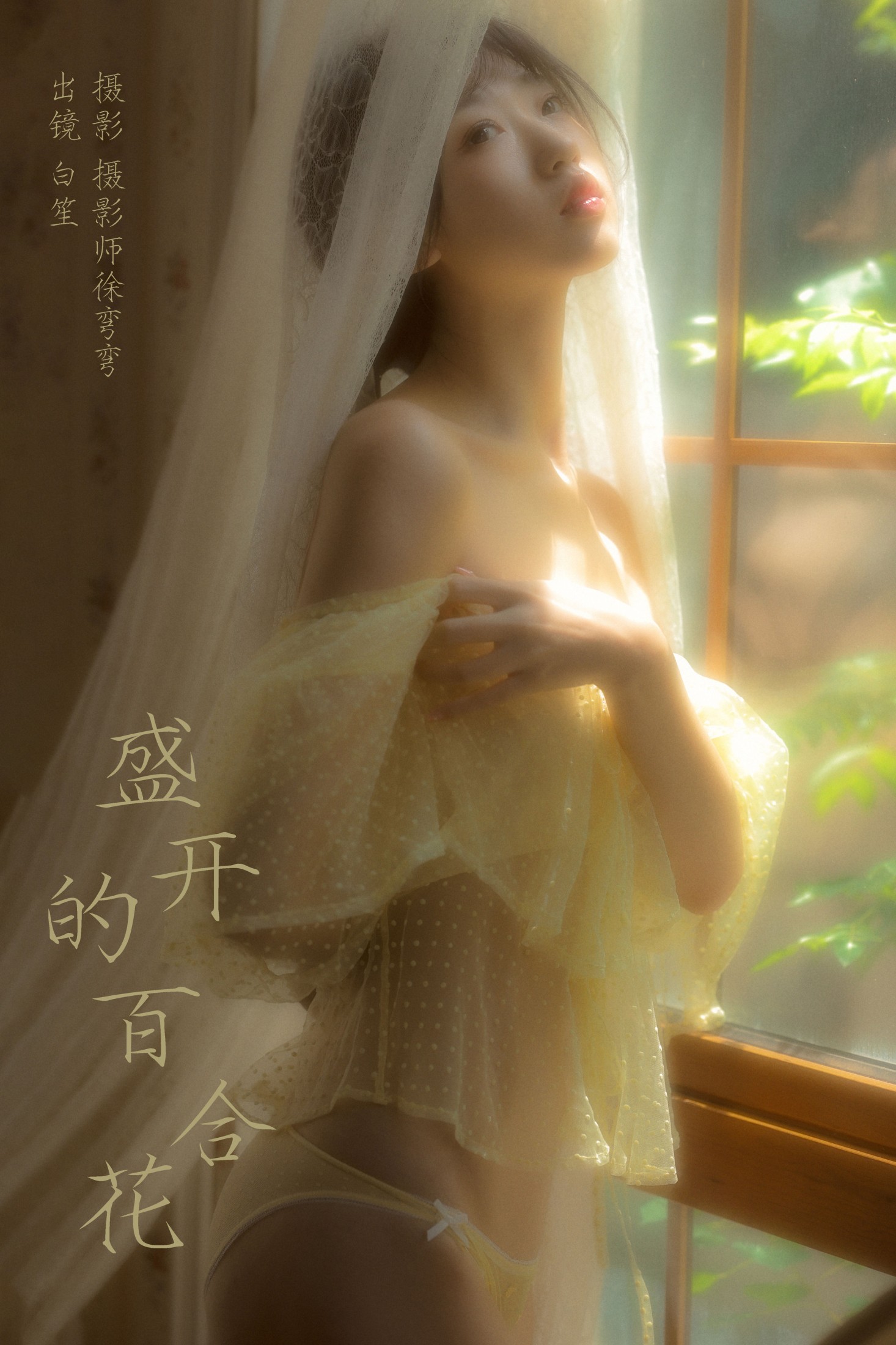 ID7762盛开的百合花 - 妍画集-妍画集