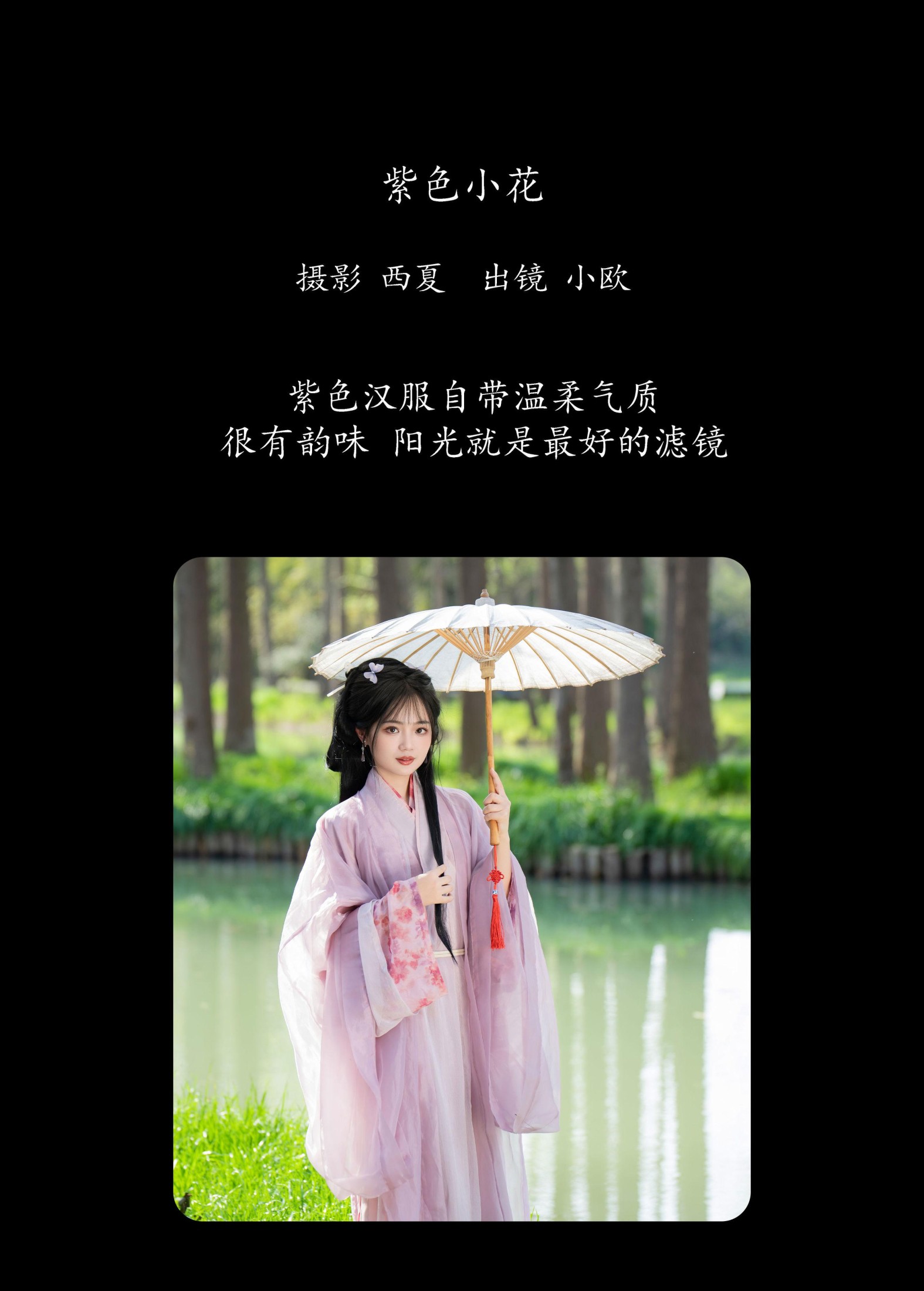 小欧O – 《紫色小花》[30P] 插图2