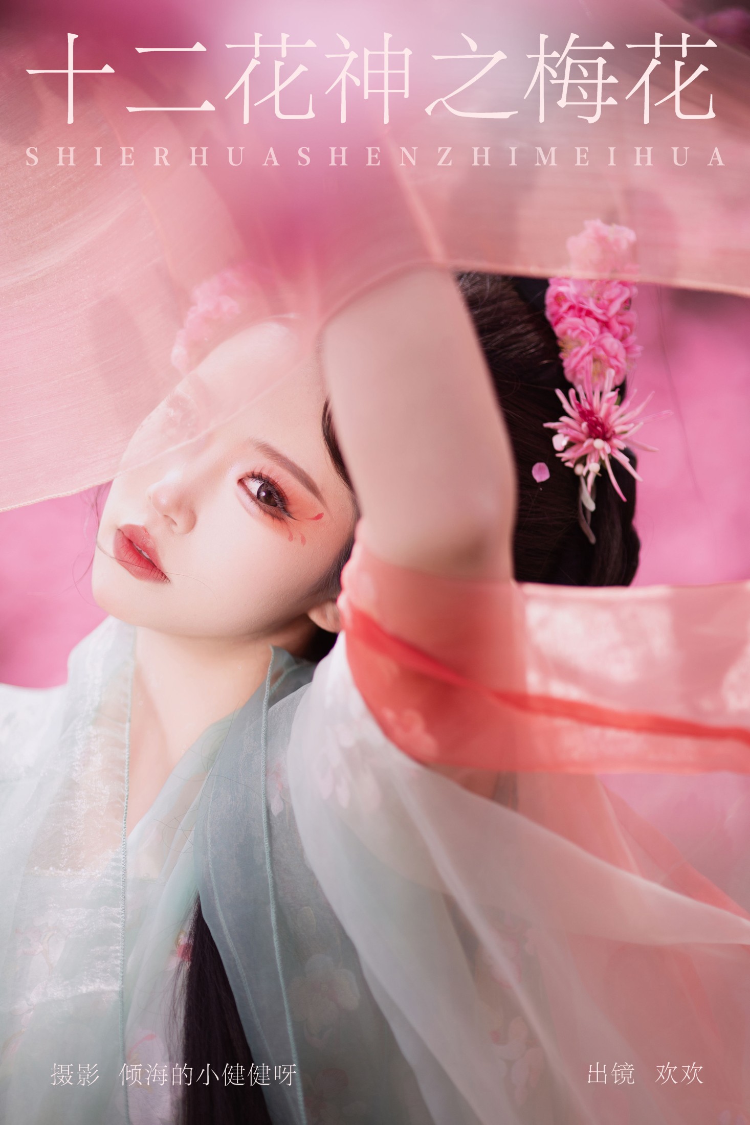 ID7958十二花神之梅花 - 妍画集-妍画集