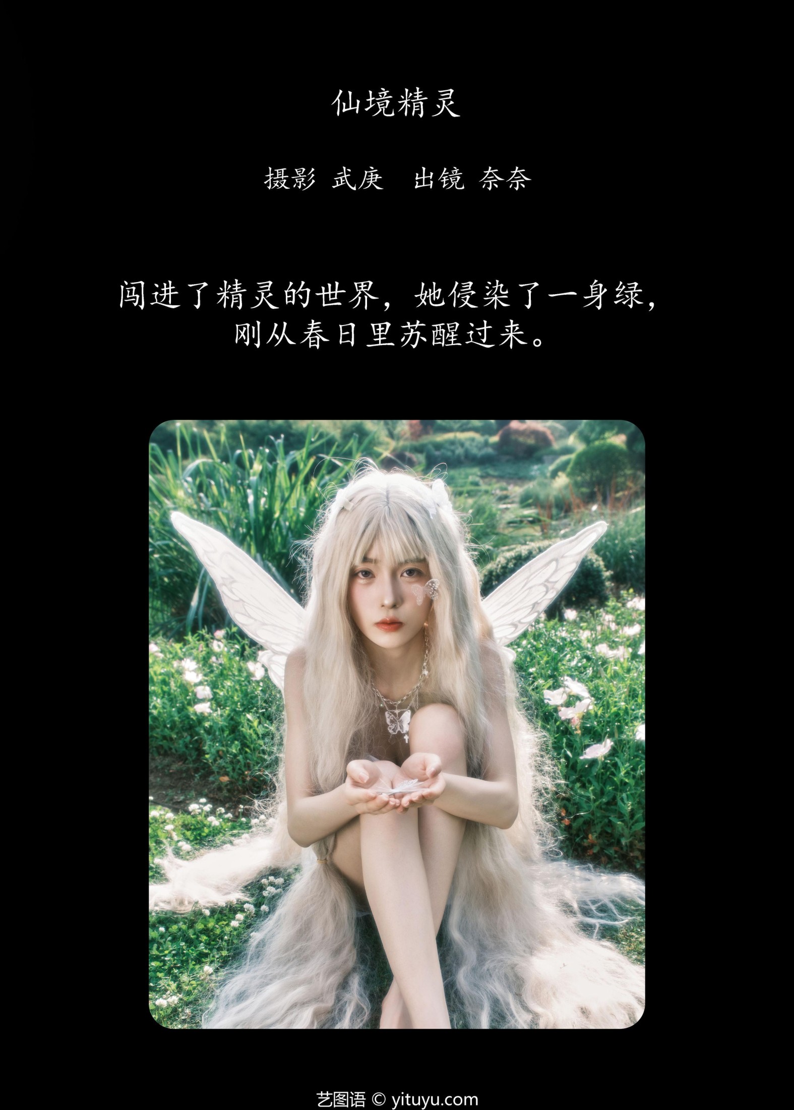 小松麻奈 – 《仙境精灵》[36P] 插图2