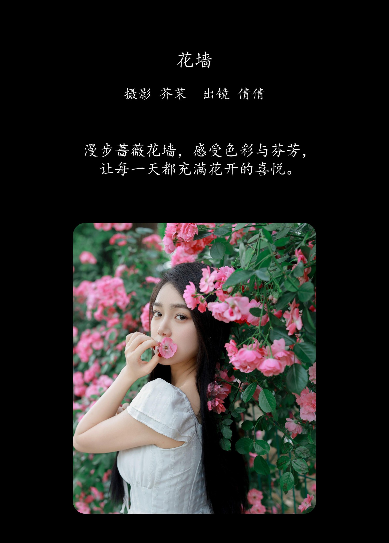 我不刷鸟 – 《花墙》[26P] 插图2