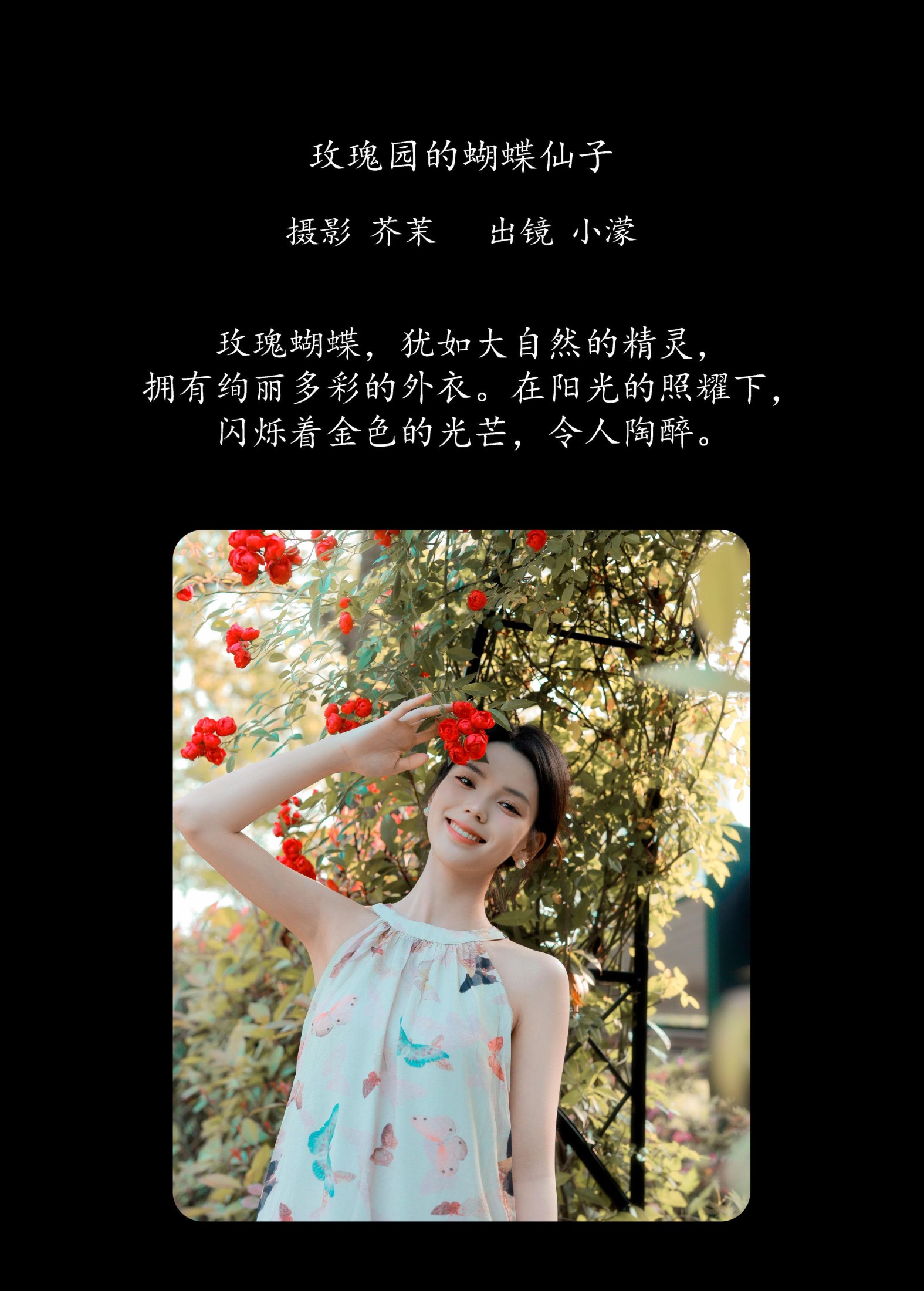 小濛 – 《玫瑰园的蝴蝶仙子》[21P] 插图2