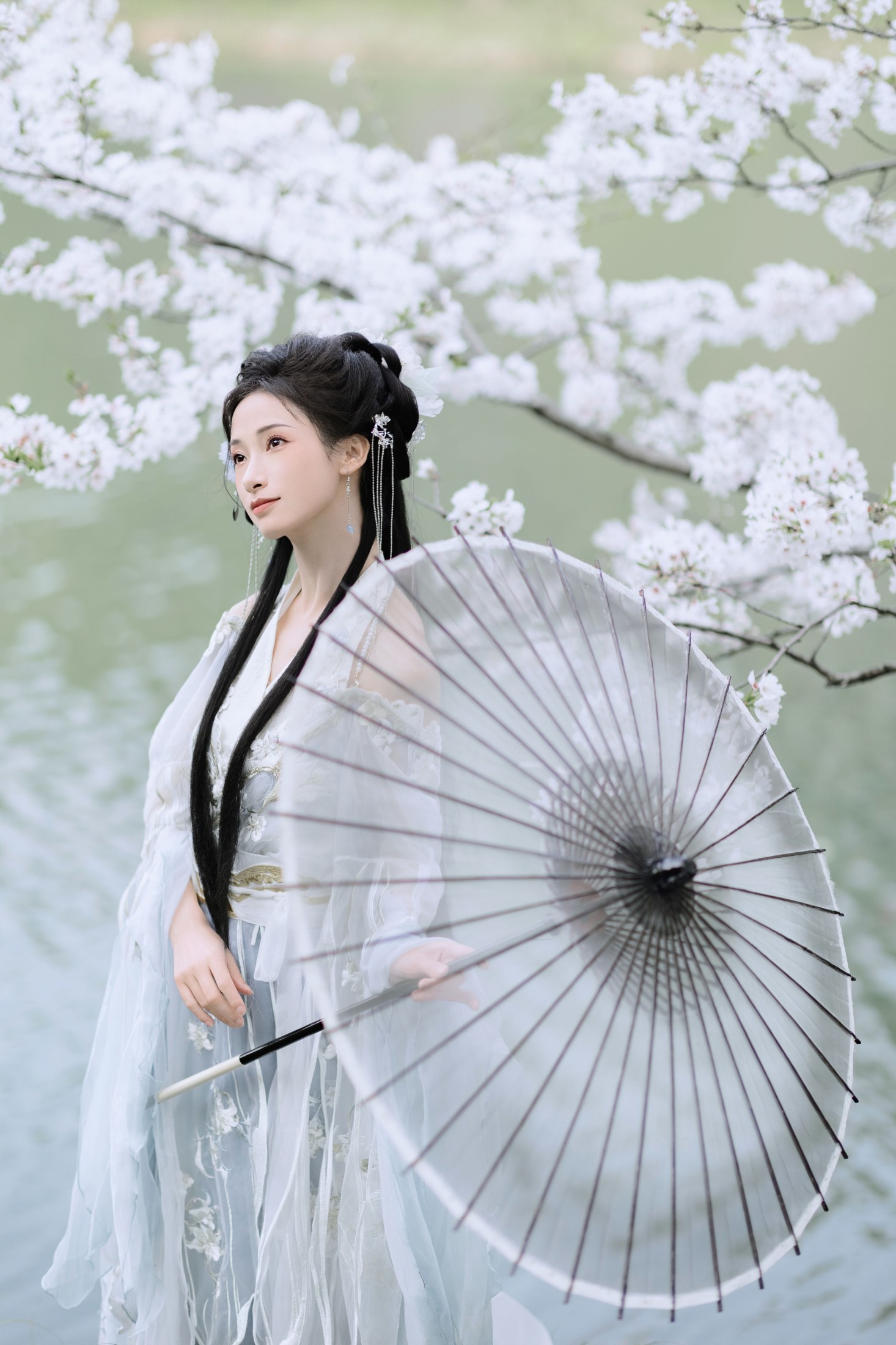 眸小妖 – 《樱吹雪》[22P] 插图4
