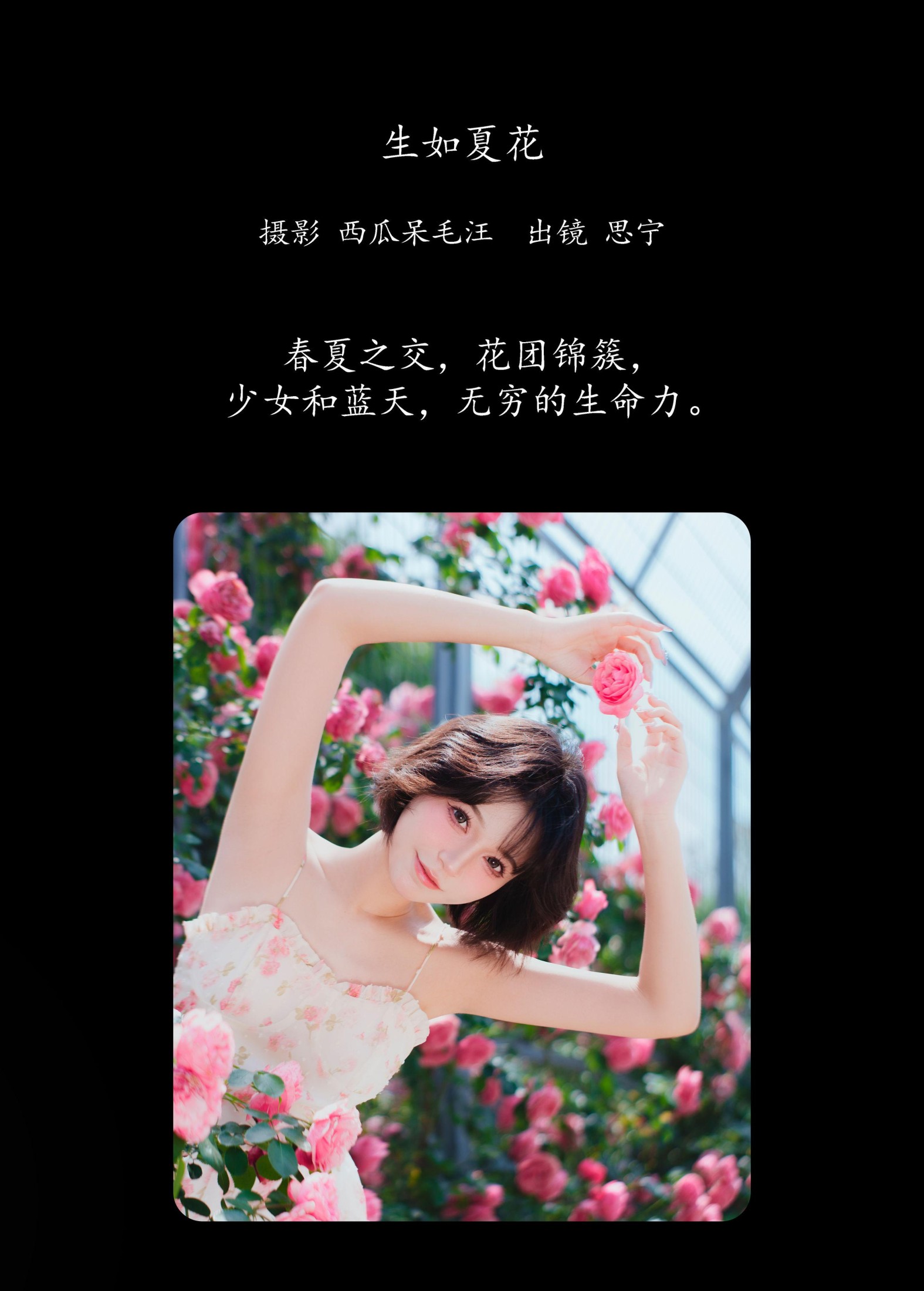 Disexi思宁 – 《生如夏花》[27P] 插图2