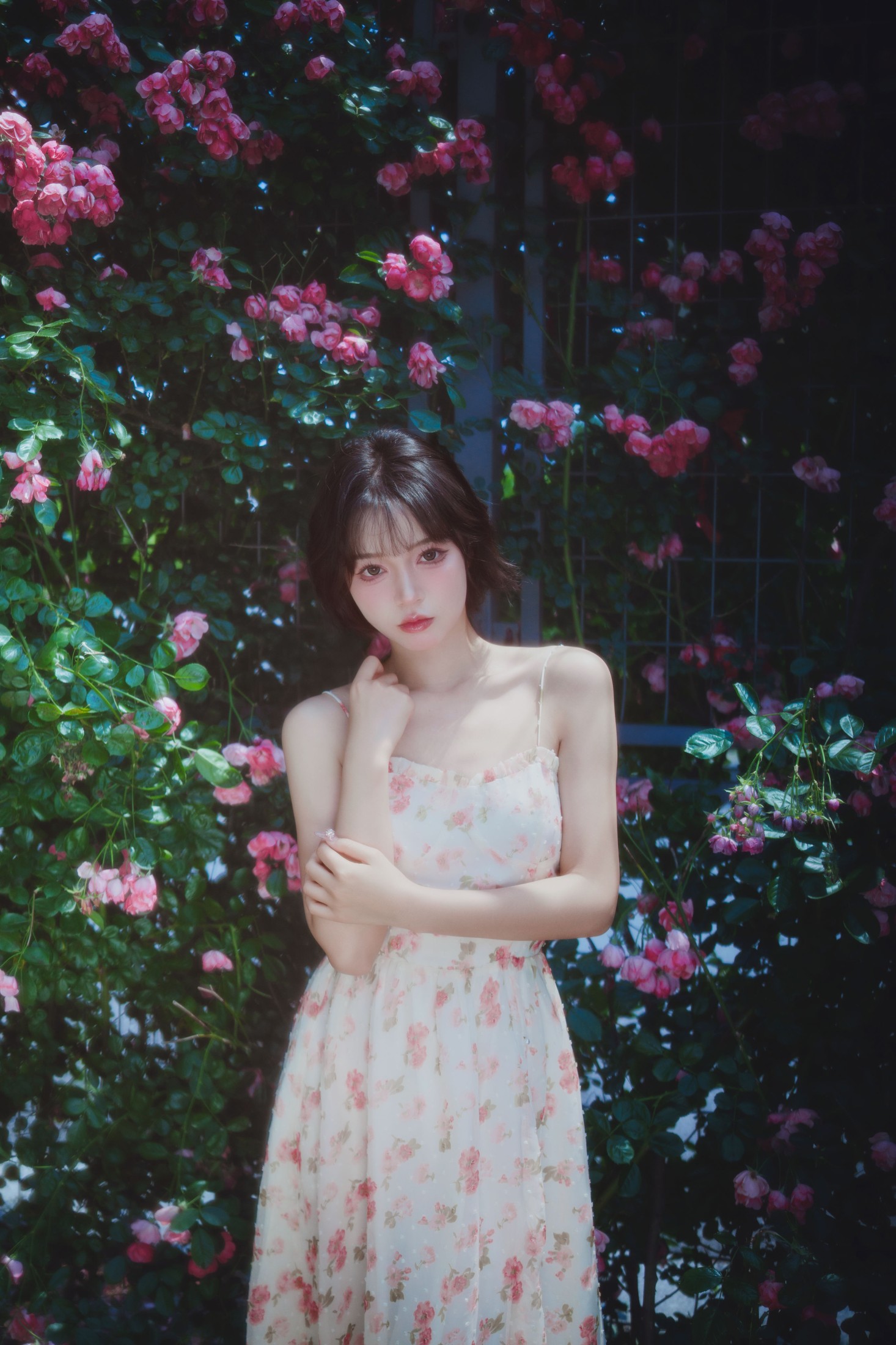 Disexi思宁 – 《生如夏花》[27P] 插图3