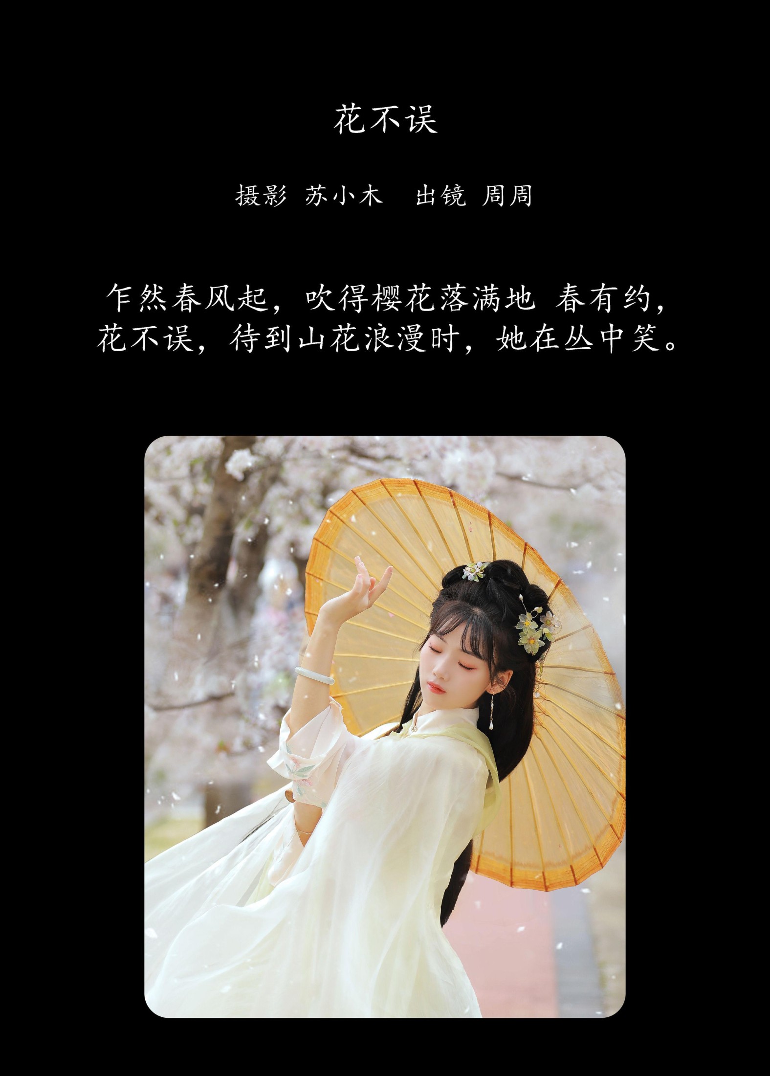 周周Ay – 《花不误》[22P] 插图2