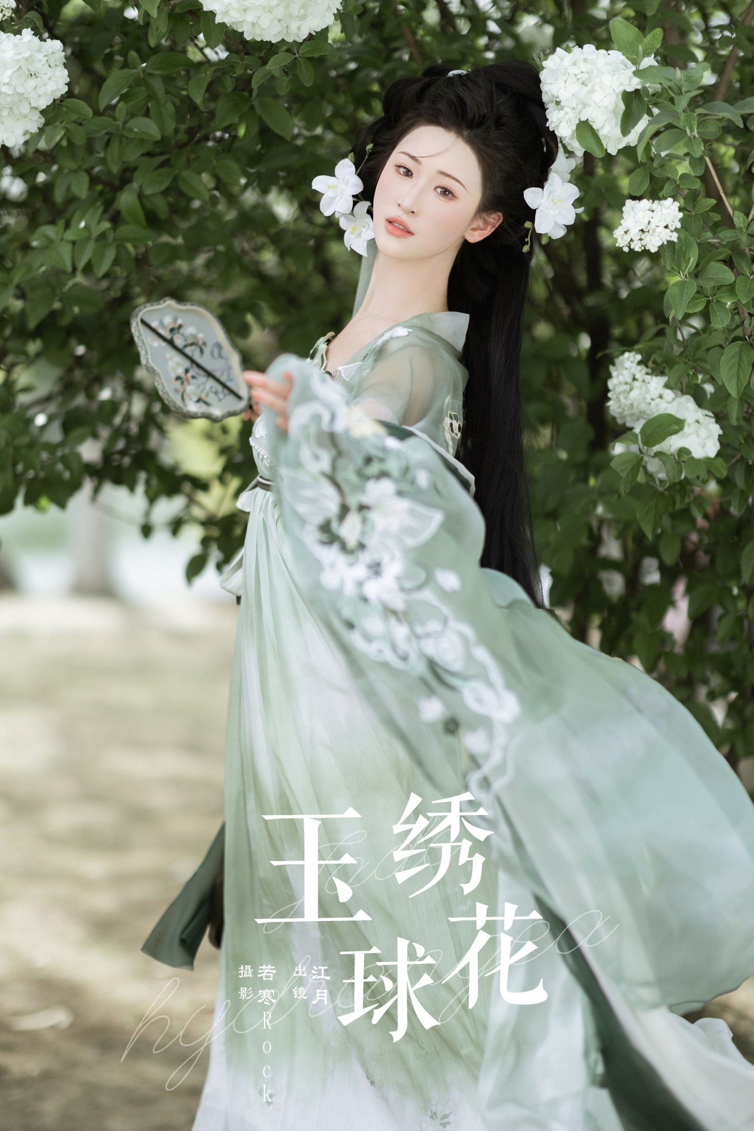 ID8285玉绣球花 - 妍画集-妍画集