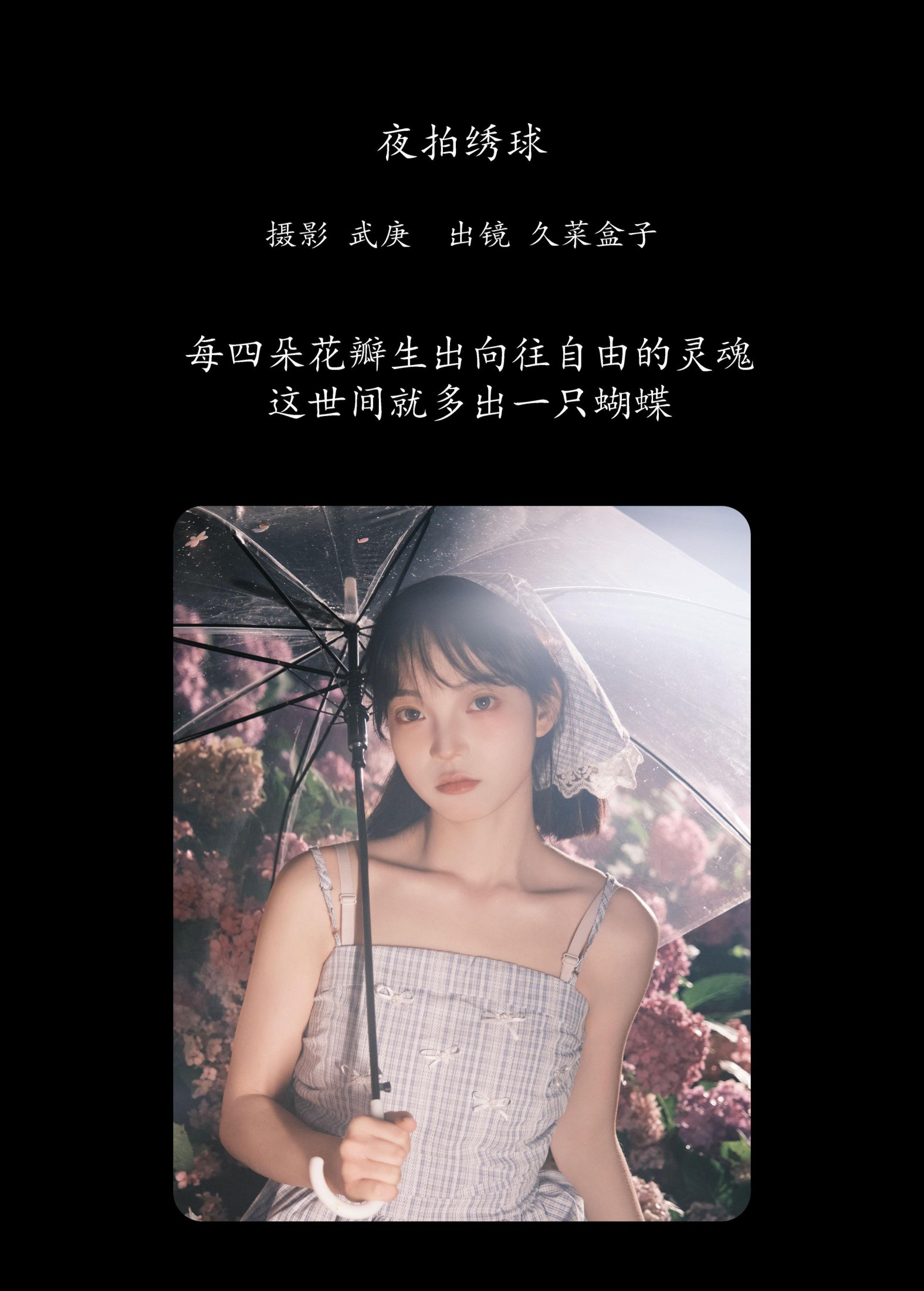 久菜盒子 – 《夜拍绣球》[31P] 插图2