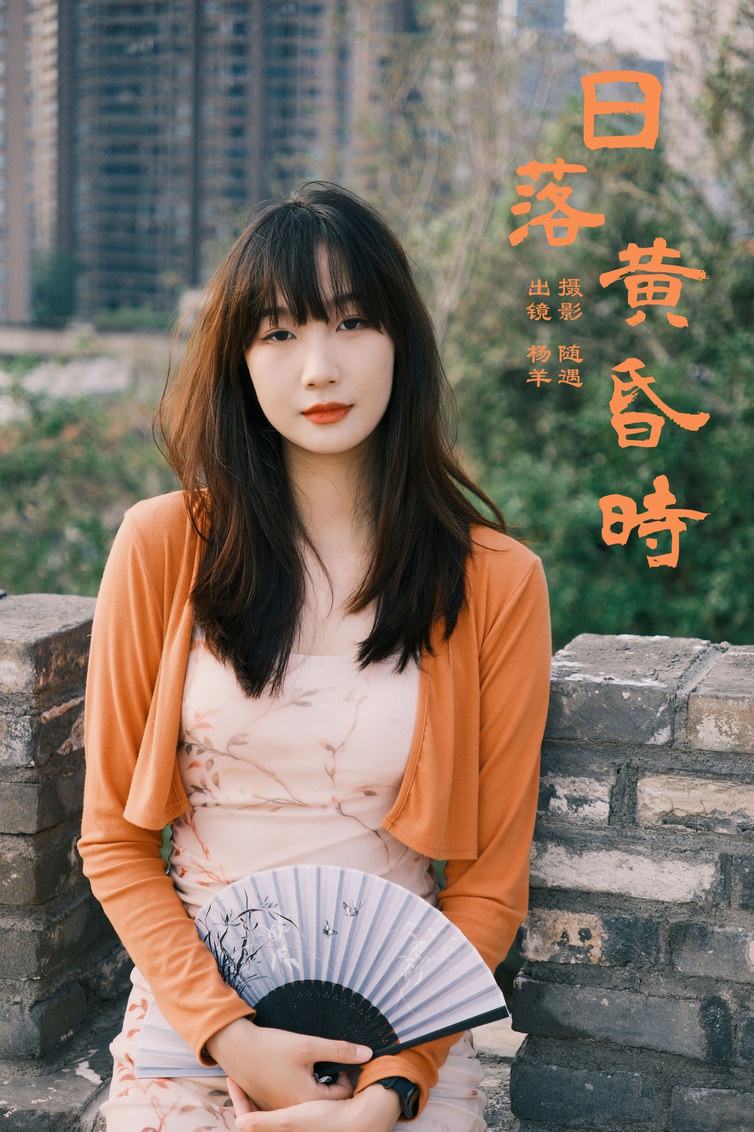 ID8351日落黄昏时 - 妍画集-妍画集