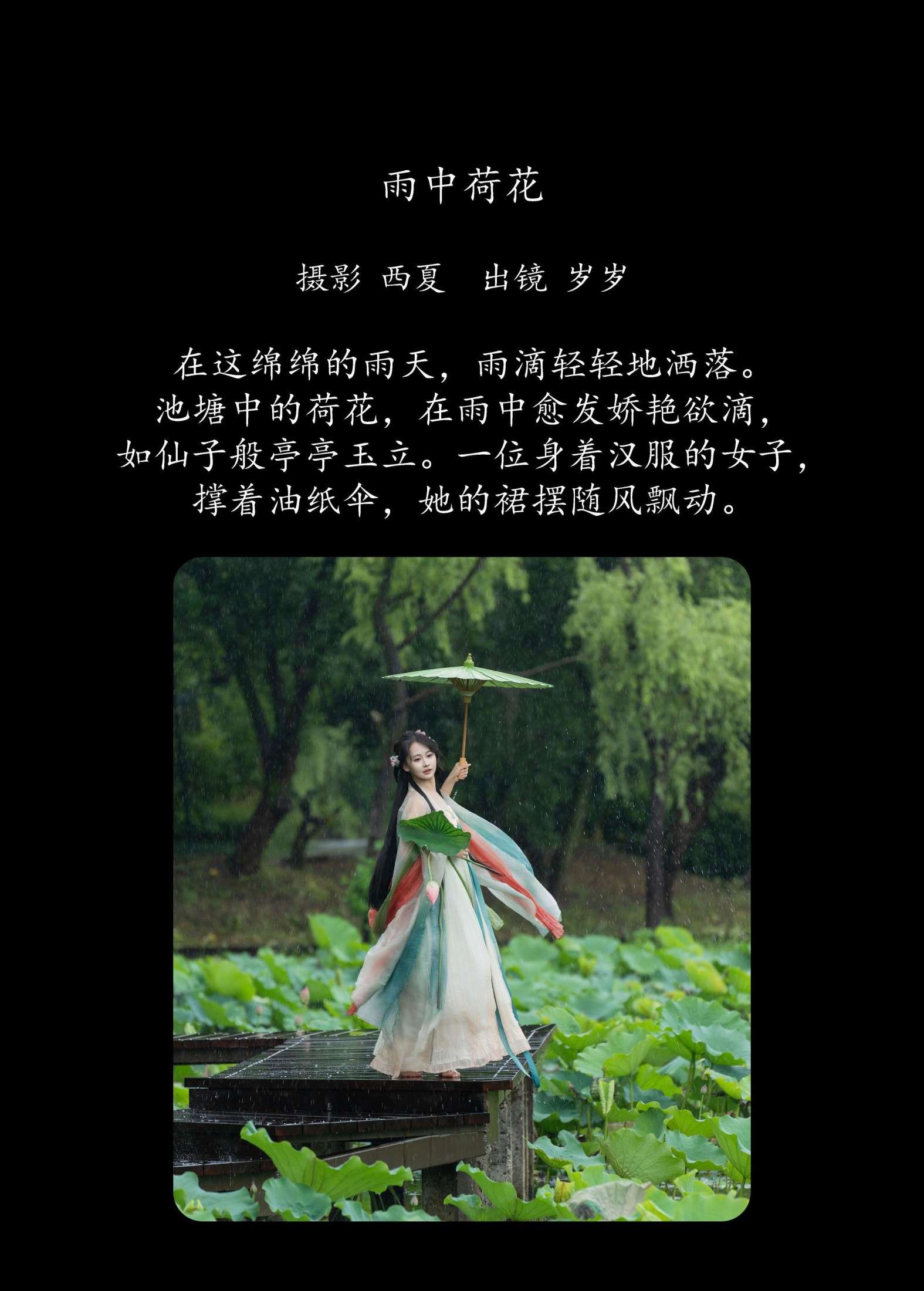 湫一只岁岁 – 《雨中荷花》[24P] 插图2