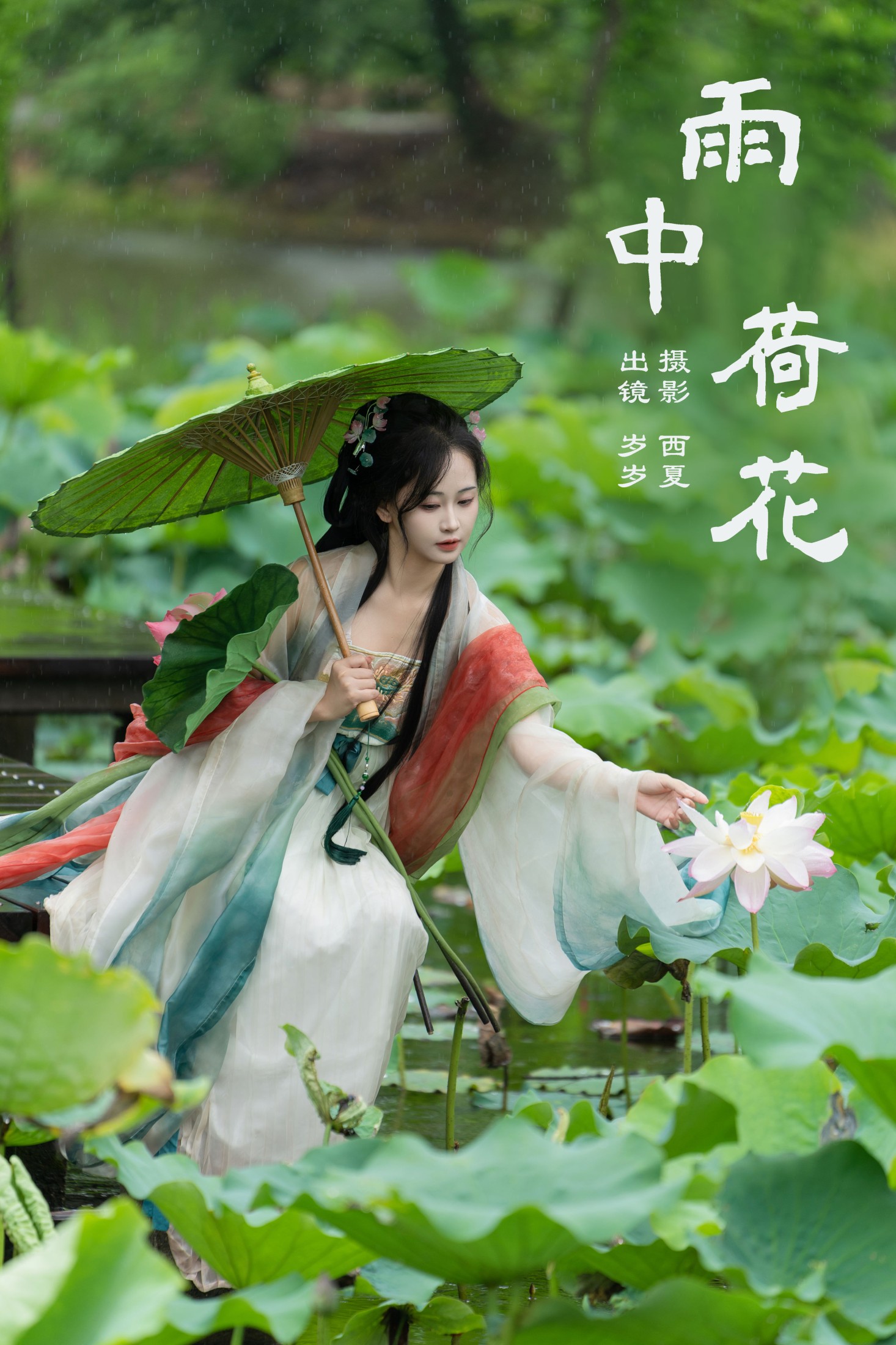 ID8384雨中荷花 - 妍画集-妍画集