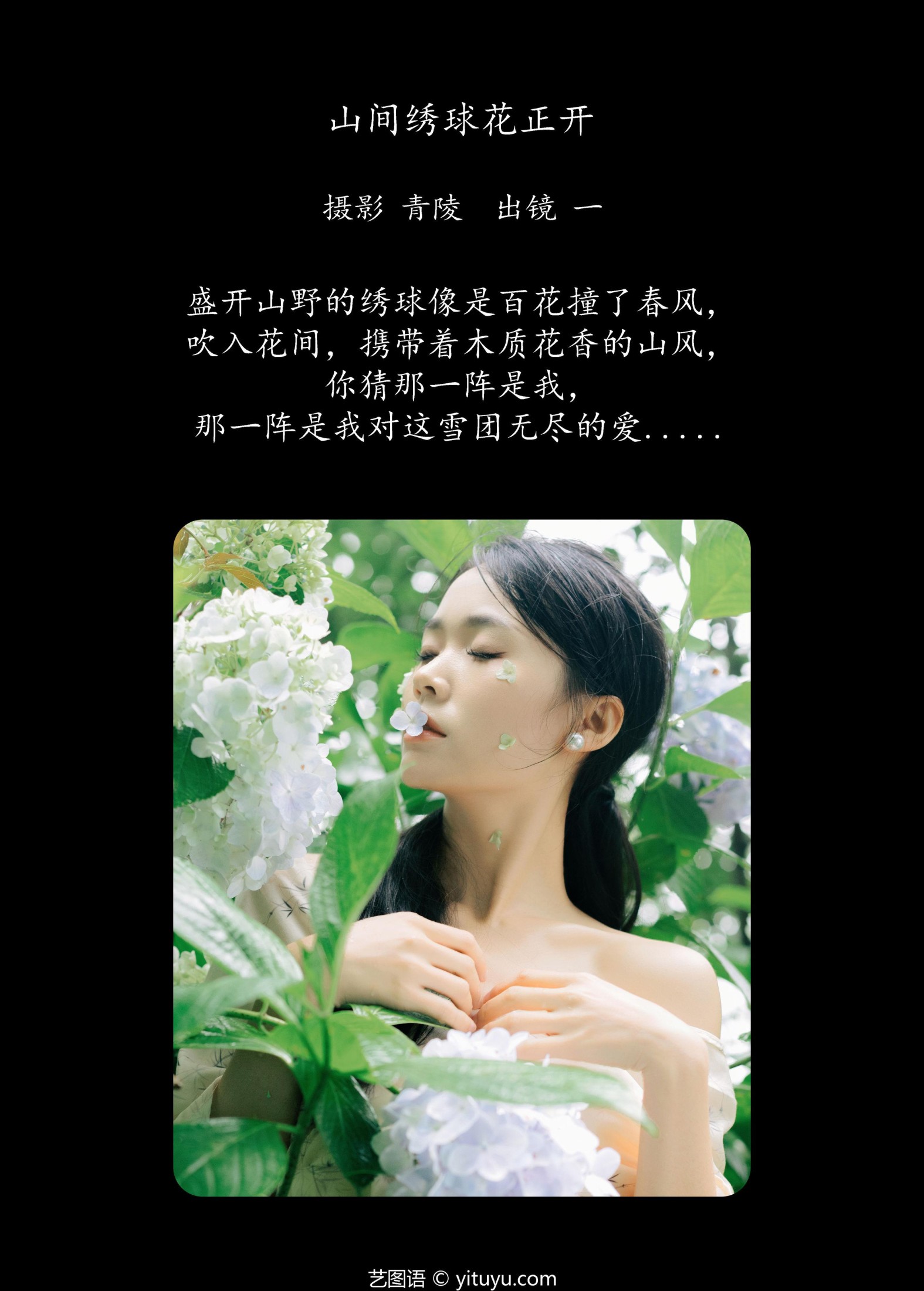 一 – 《山间绣球花正开》[26P] 插图2