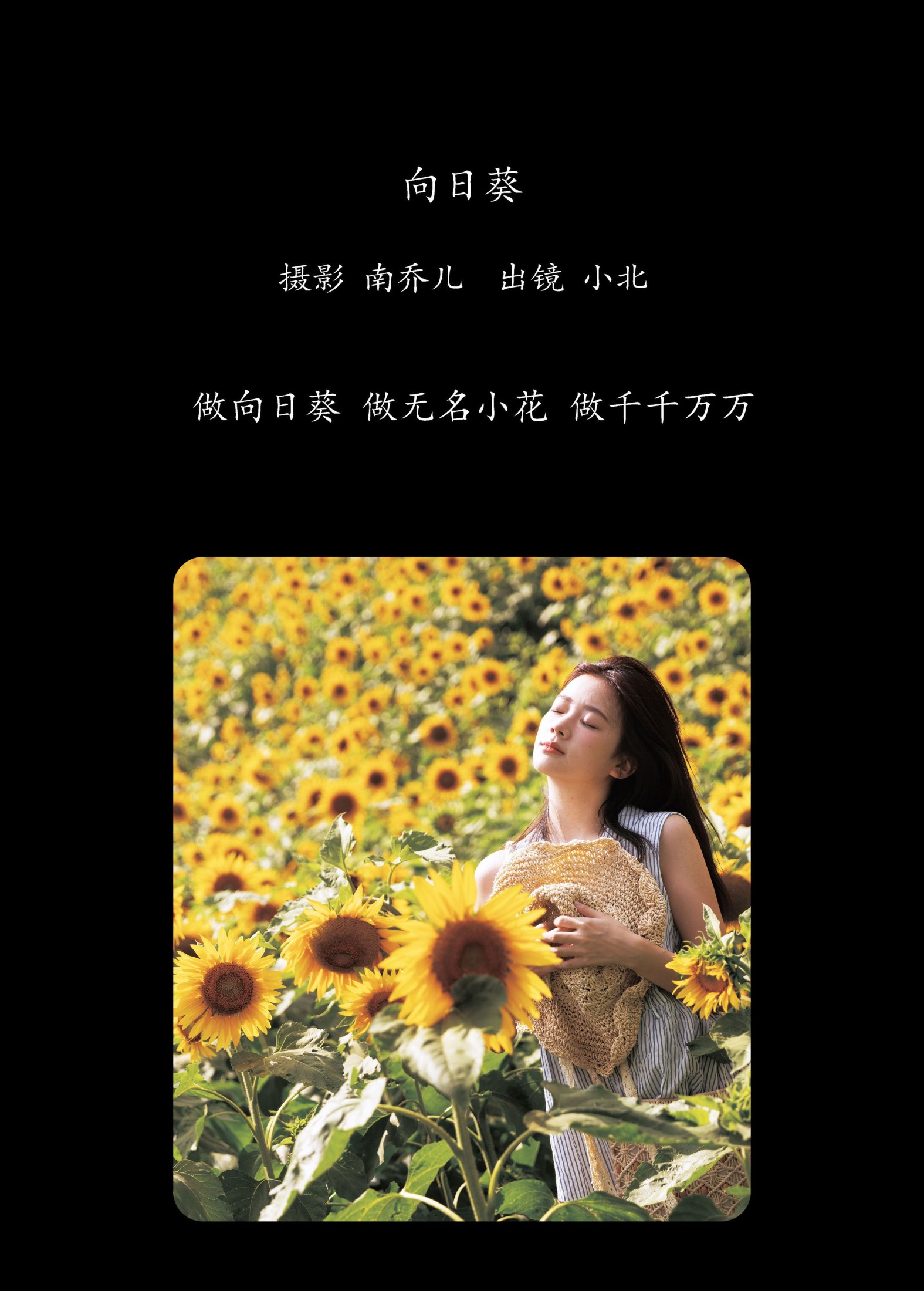 To小北 – 《向日葵》[26P] 插图2