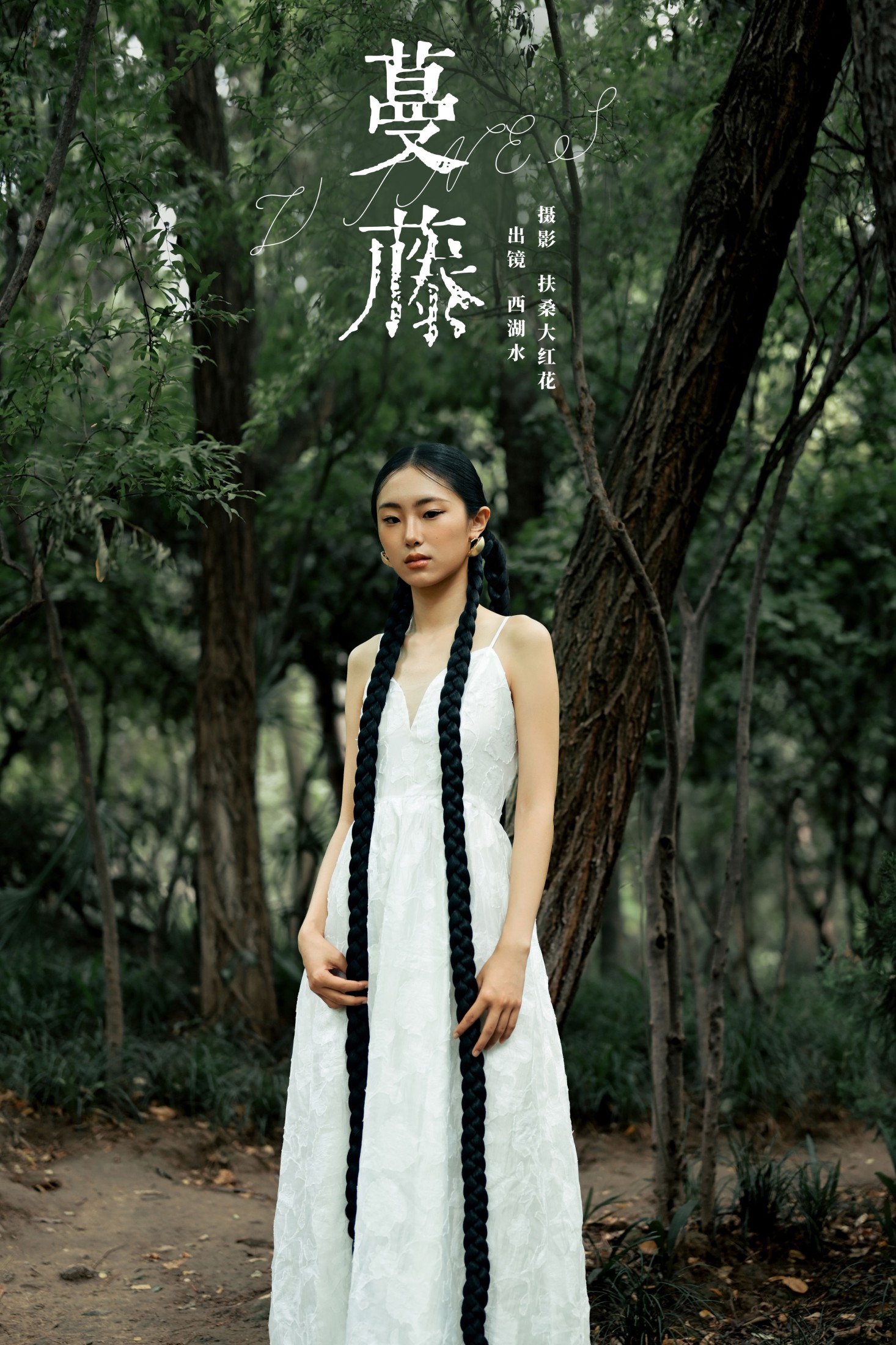 ID8680蔓藤 - 妍画集-妍画集