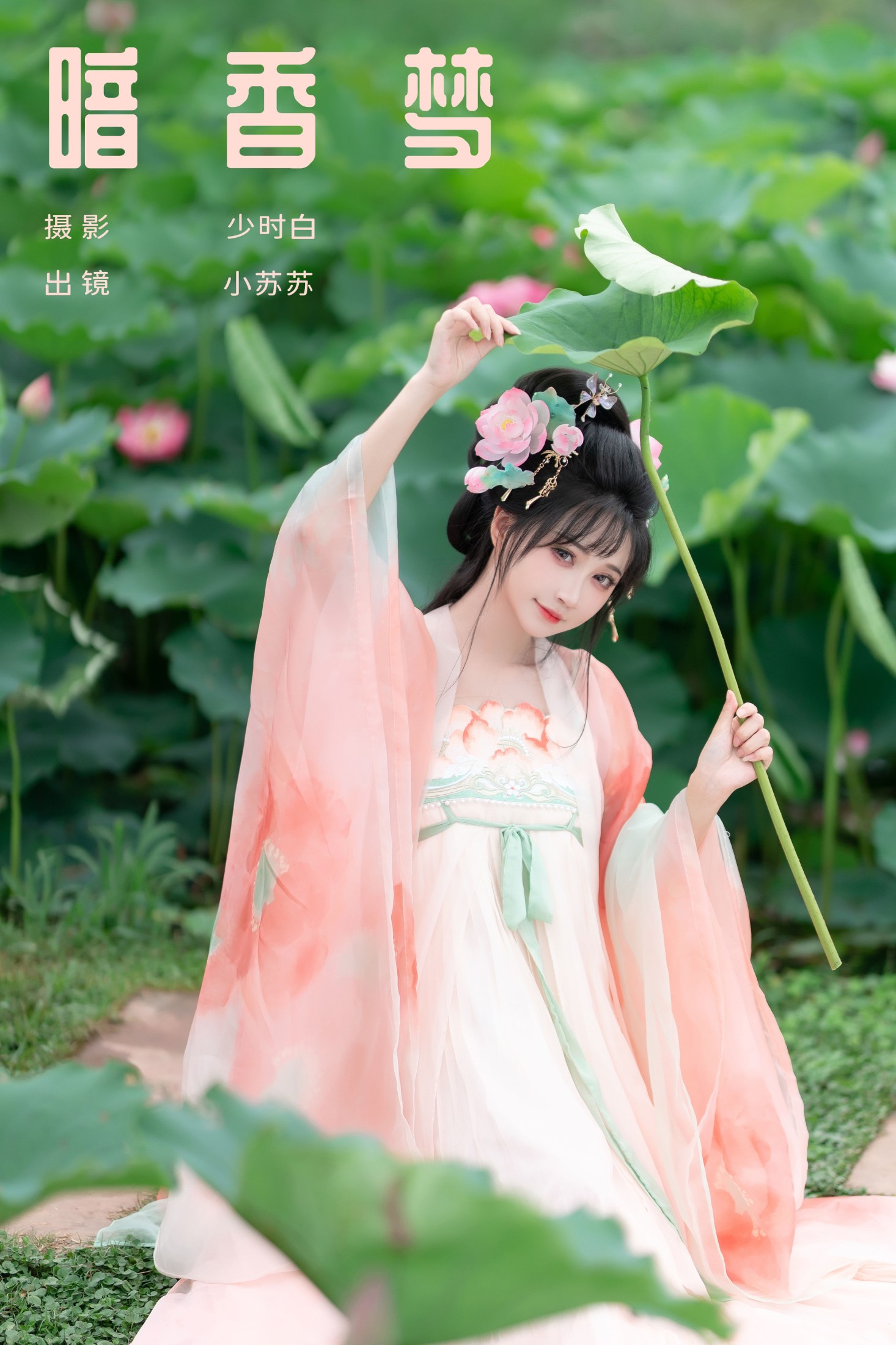 ID8817暗香梦 - 妍画集-妍画集